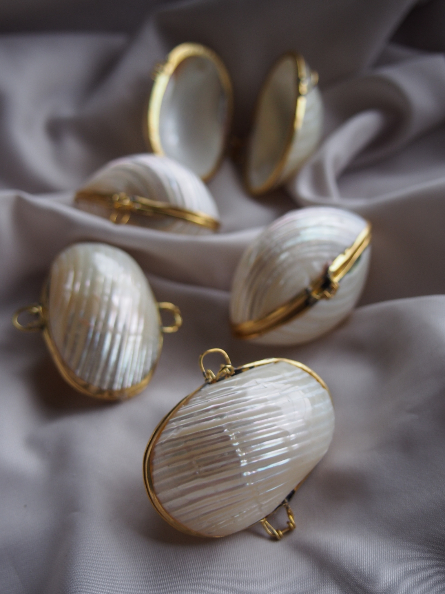 貝殻の小物入れ-マルサザエ真珠磨き-【4cm前後/1個】 En:  Shell coin purse -Turbo Argyerostomus- (size:approx.4cm, per 1pcs)