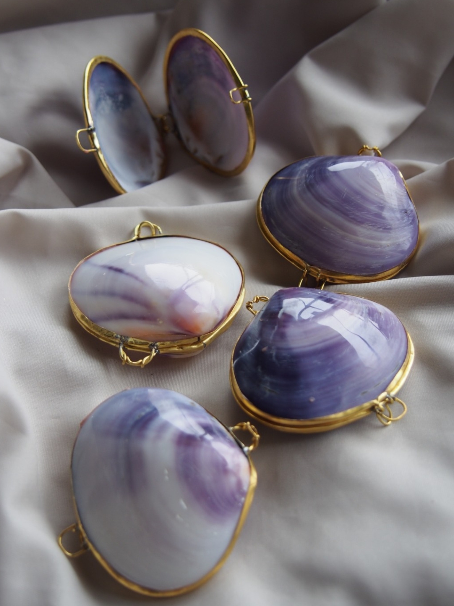 貝殻の小物入れ-バイオレットクラム磨き-【5cm前後/1個】En:  Shell coin purse -violet clam polished-  (size:approx.5cm, per 1pcs)