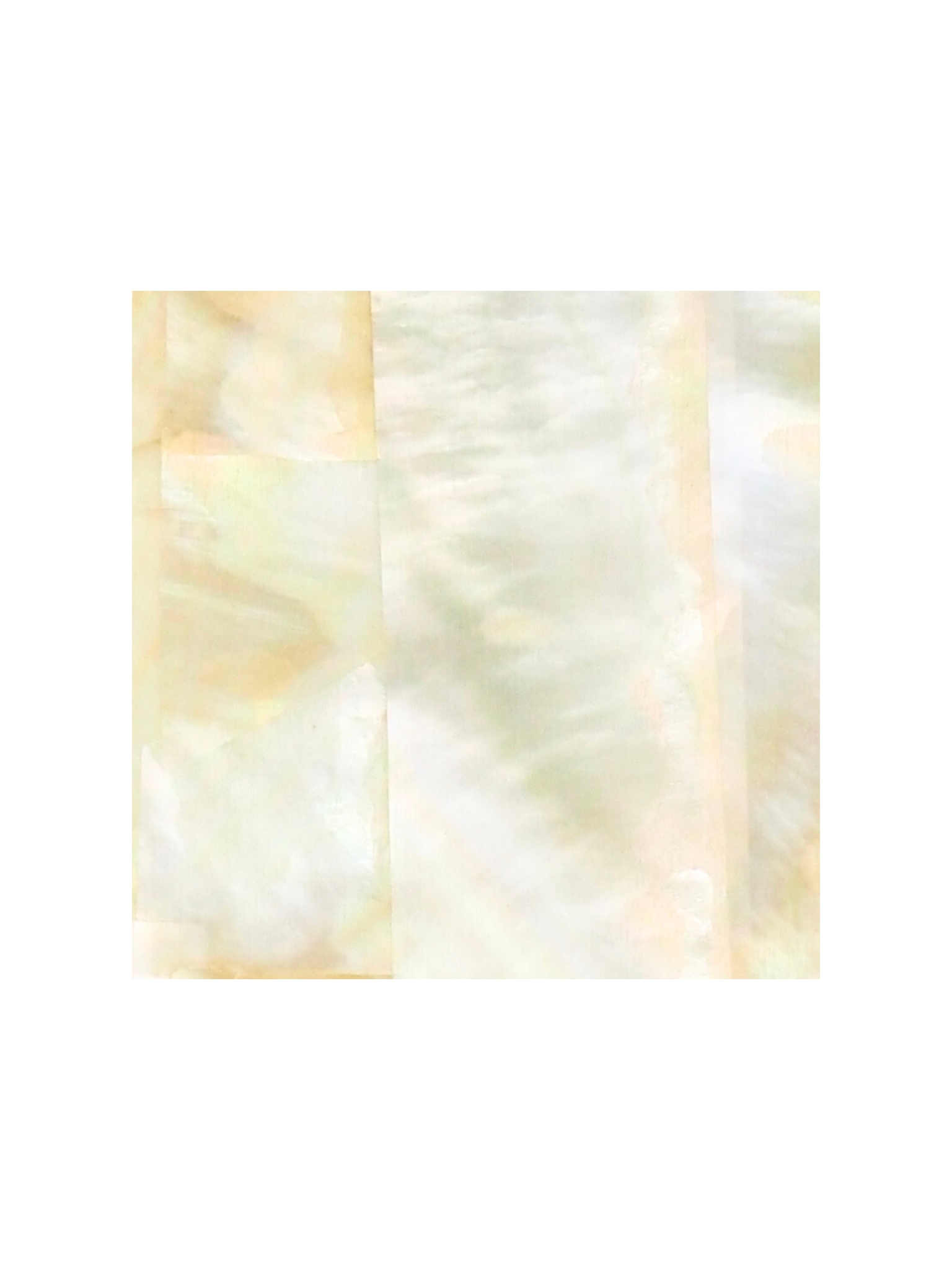 貝殻シート#24 ゴールドリップ（キチョウガイ）【4×4cm 厚さ0.18-0.2mm 】[メール便可] En: Shell veneer - gold lip