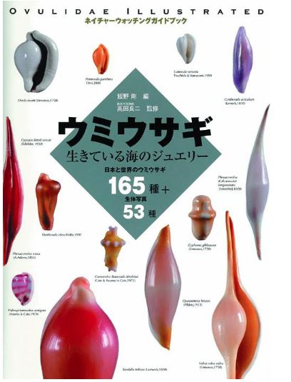 【図鑑】ウミウサギ　生きている海の小さなジュエリー