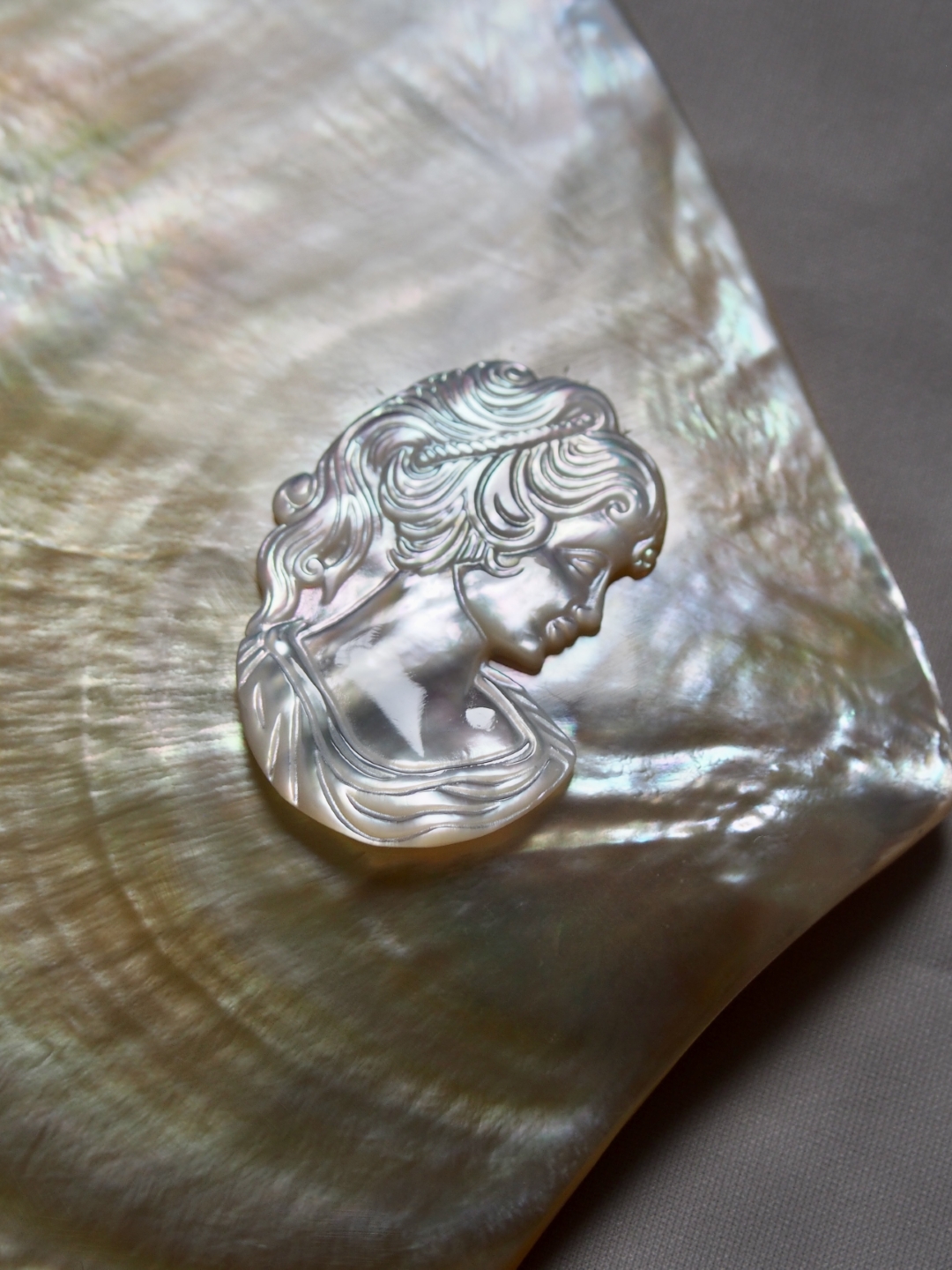 カメオ - ヴィーナス (シロチョウガイ)【約34×25mm/1個】[メール便可] #216 En:Shell cameo -White MOP- (size:34×25mm per 1pcs) 貝殻