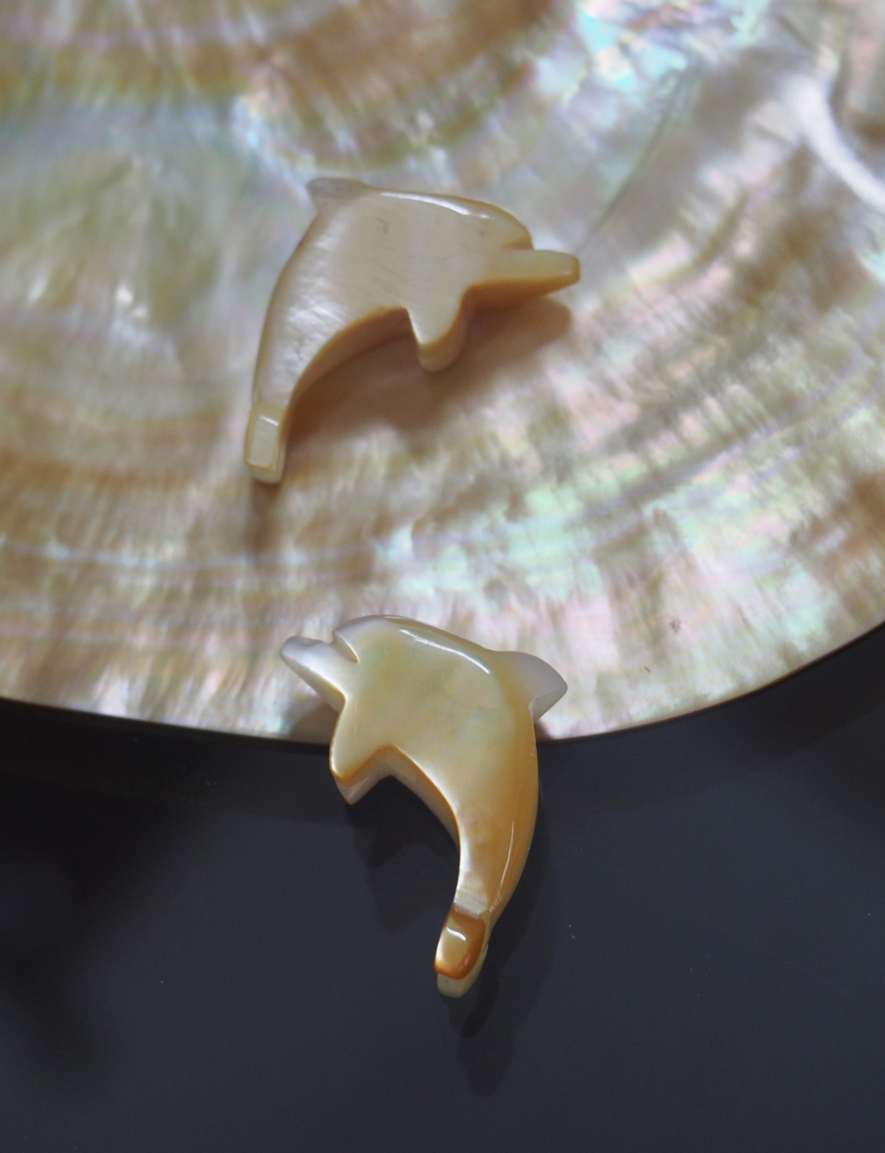イルカ-54-(シロチョウガイ）【約2.2～2.5cm/1個】[メール便可]まとめ買い10%OFF En:Shell accesorry -dolphine- WMOP 貝殻