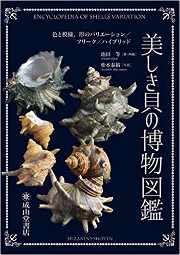 【図鑑】美しき貝の博物図鑑 ー色と模様、形のバリエーション／フリーク／ハイブリッド