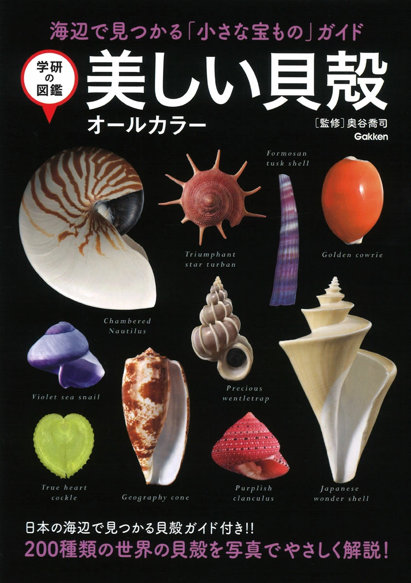 【図鑑】美しい貝殻　オールカラー　（学研の図鑑）