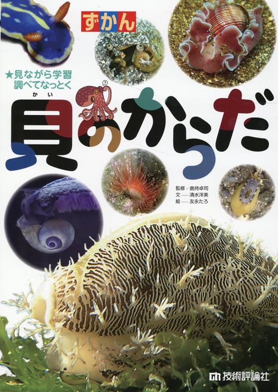 【図鑑】貝のからだ