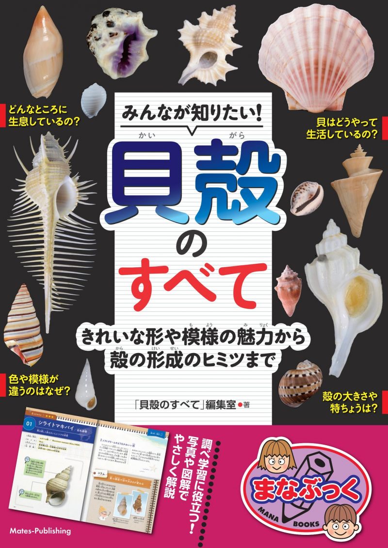【図鑑】みんなが知りたい！貝殻のすべて