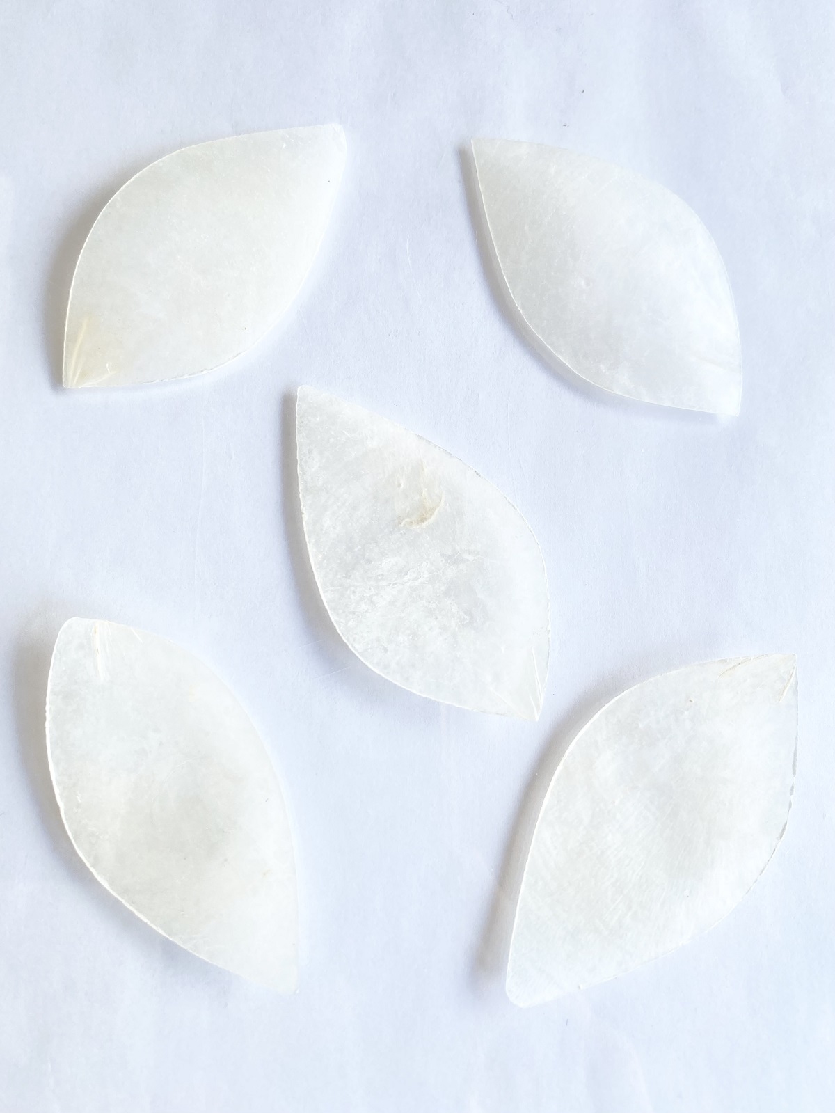 カピスナチュラル【リーフ(プレーン)】(約6cm前後/10枚)[メール便可-18袋まで]En:Capiz leaf shape(B)- natural 貝殻