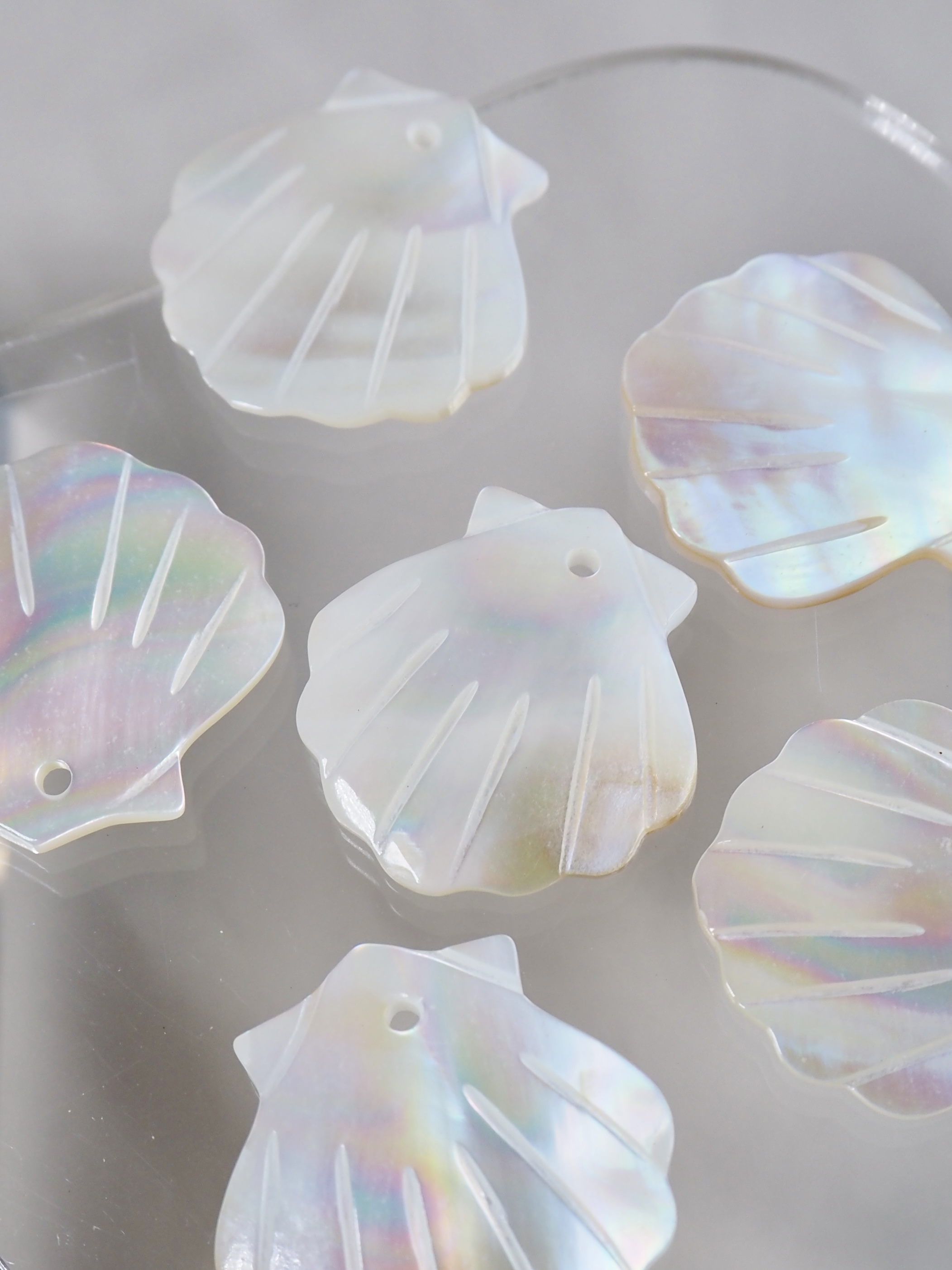 シェルビーズ -ホタテ 穴有(淡水真珠貝)【約23×25mm/1個】[メール便可]まとめ買い10%OFF #1215 En: Shell Beads -freshwater pearl 貝殻