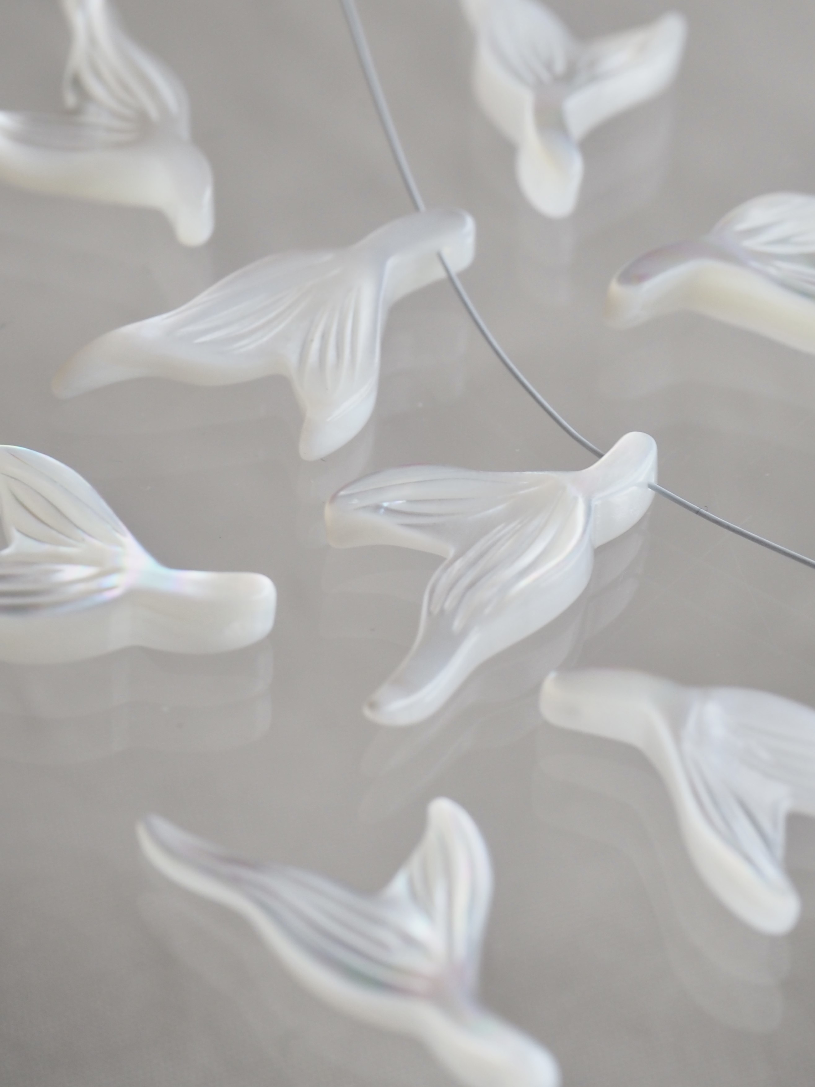 シェルビーズ-フィッシュテール(タカセガイ)【約24×12mm/1個】まとめ買い10%OFF [メール便可]#1204 貝殻