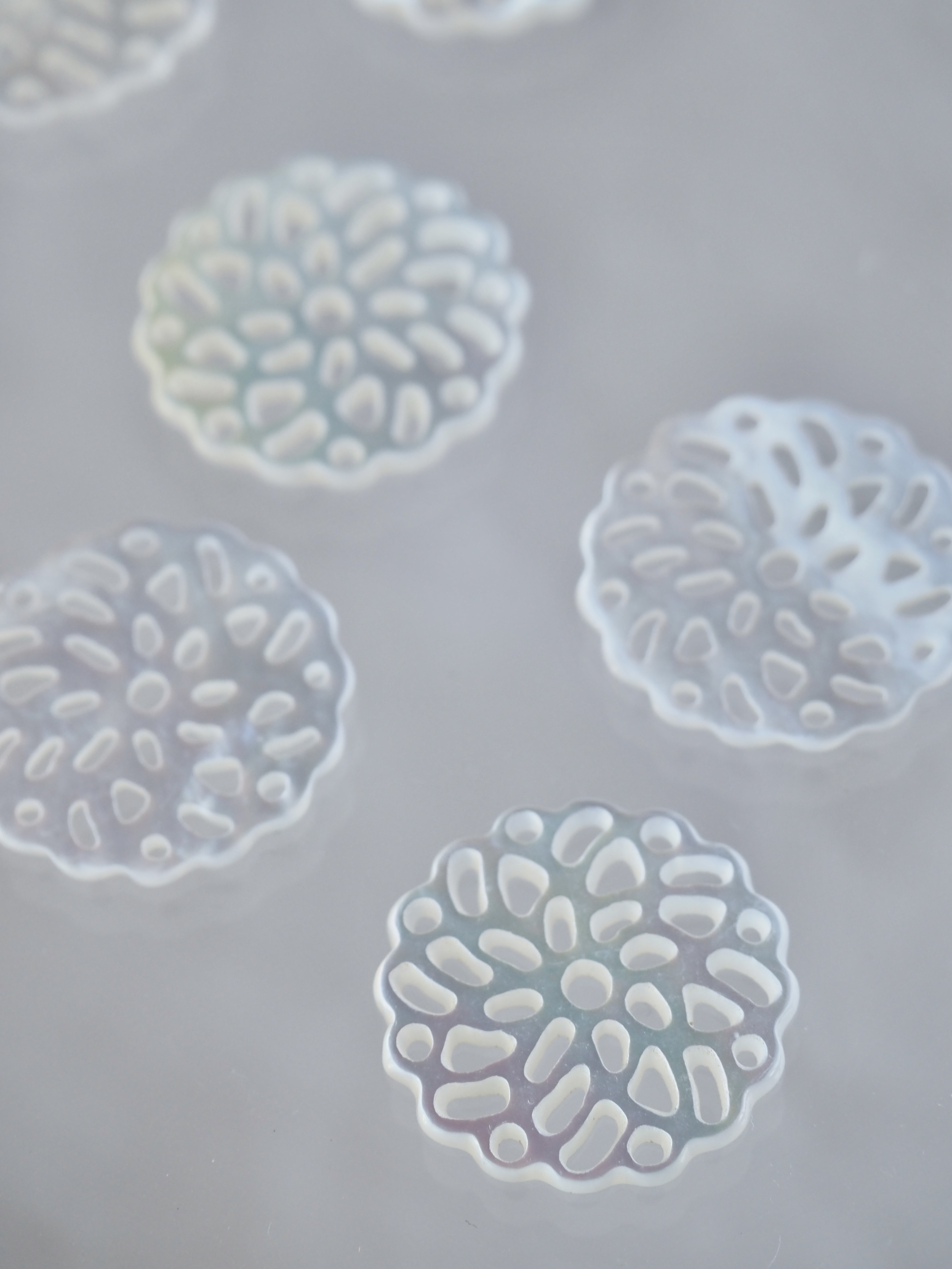 貝殻の問屋さん- 世界の貝殻・自然素材・サンゴ砂を直輸入・卸売