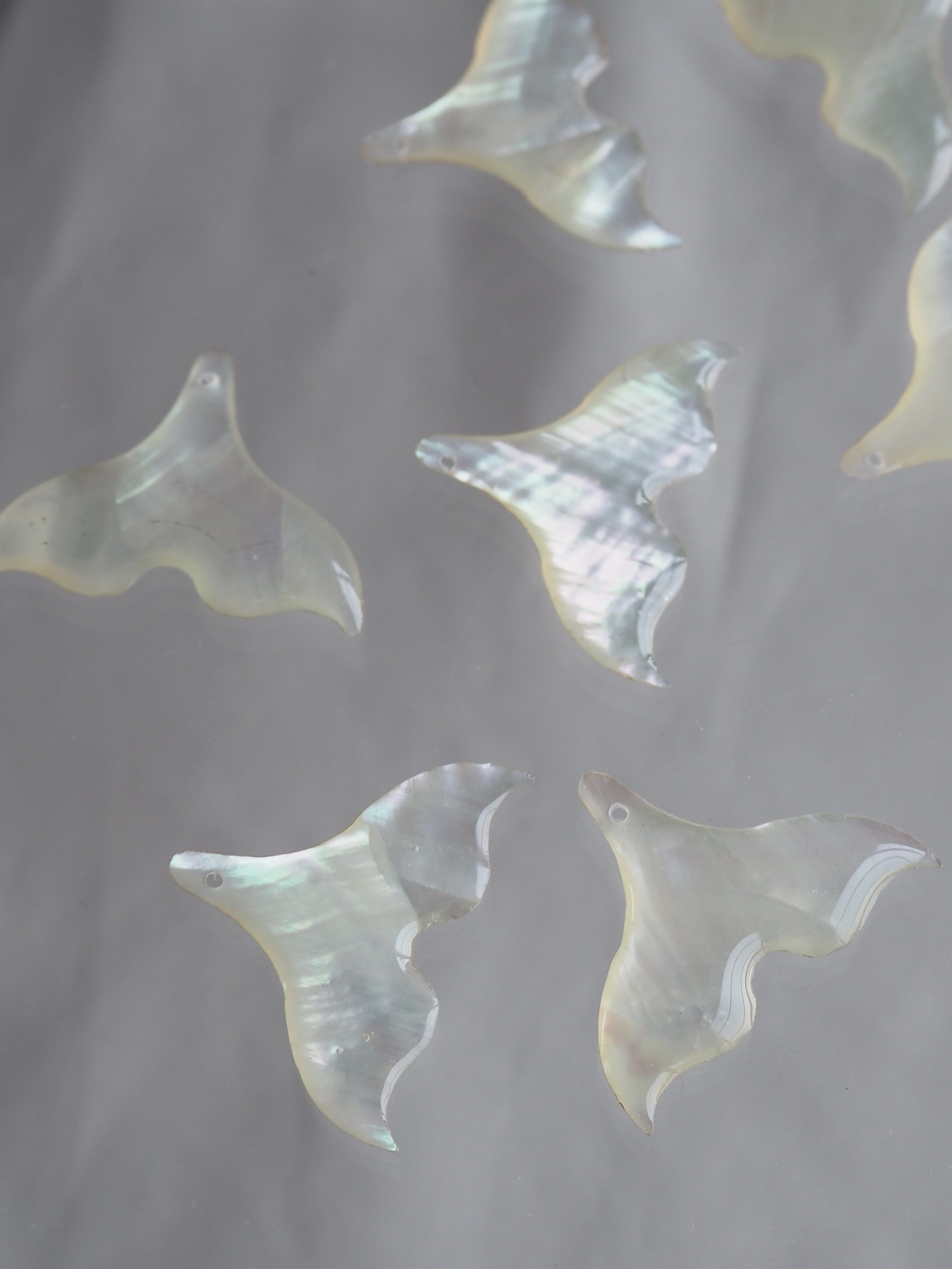 シェルビーズ - マーメイドテール(ターバンシェル)【約25×19mm/1個】 [メール便可]まとめ買い10%OFF #1222 En:Shell Beads -turbo shell 貝殻