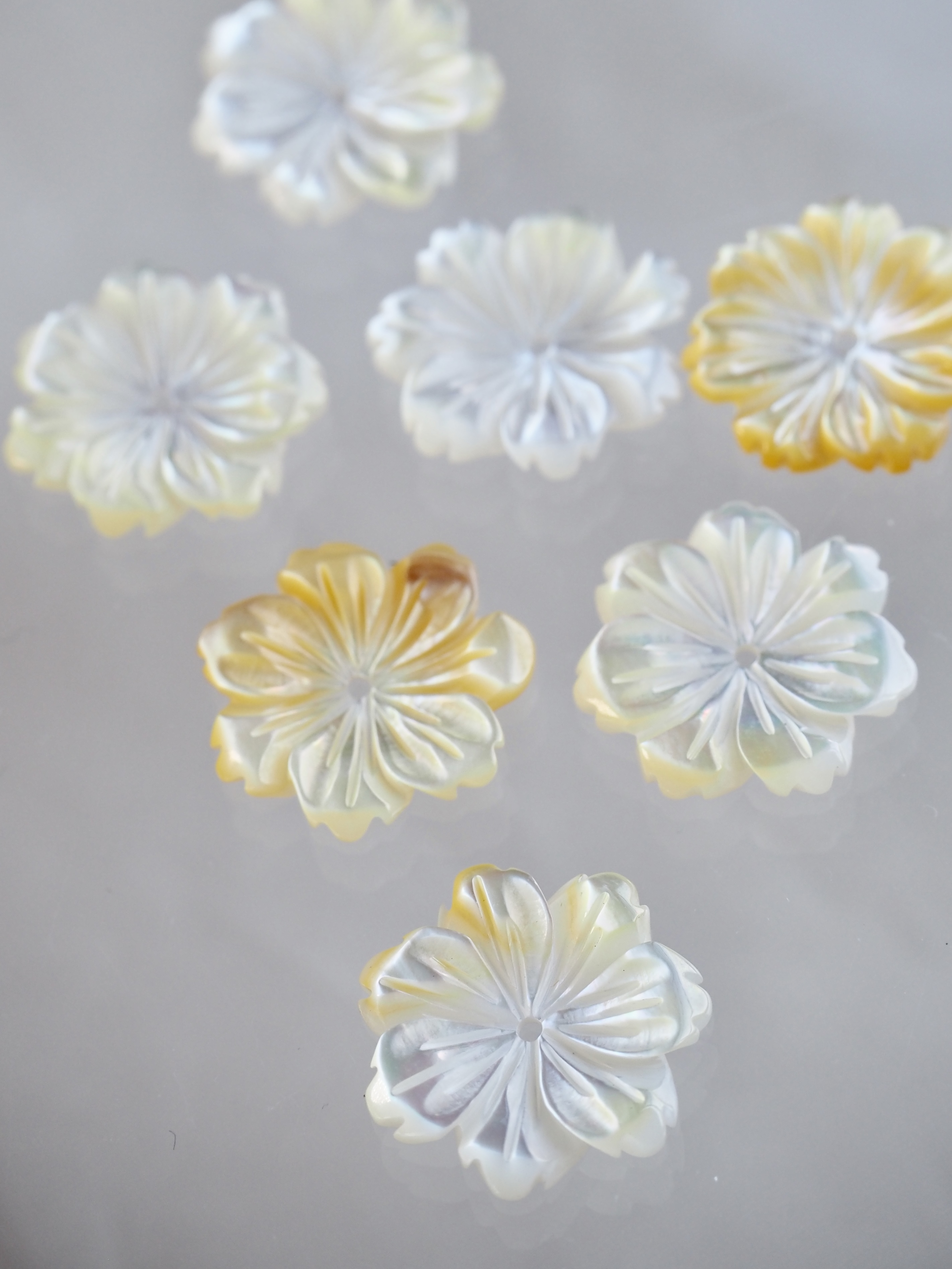 シェルビーズ -フラワーグラデーション(シロチョウガイ)【約15mm/1個】[メール便可]まとめ買い10%OFF #1004 En:Shell Beads -White MOP 貝殻