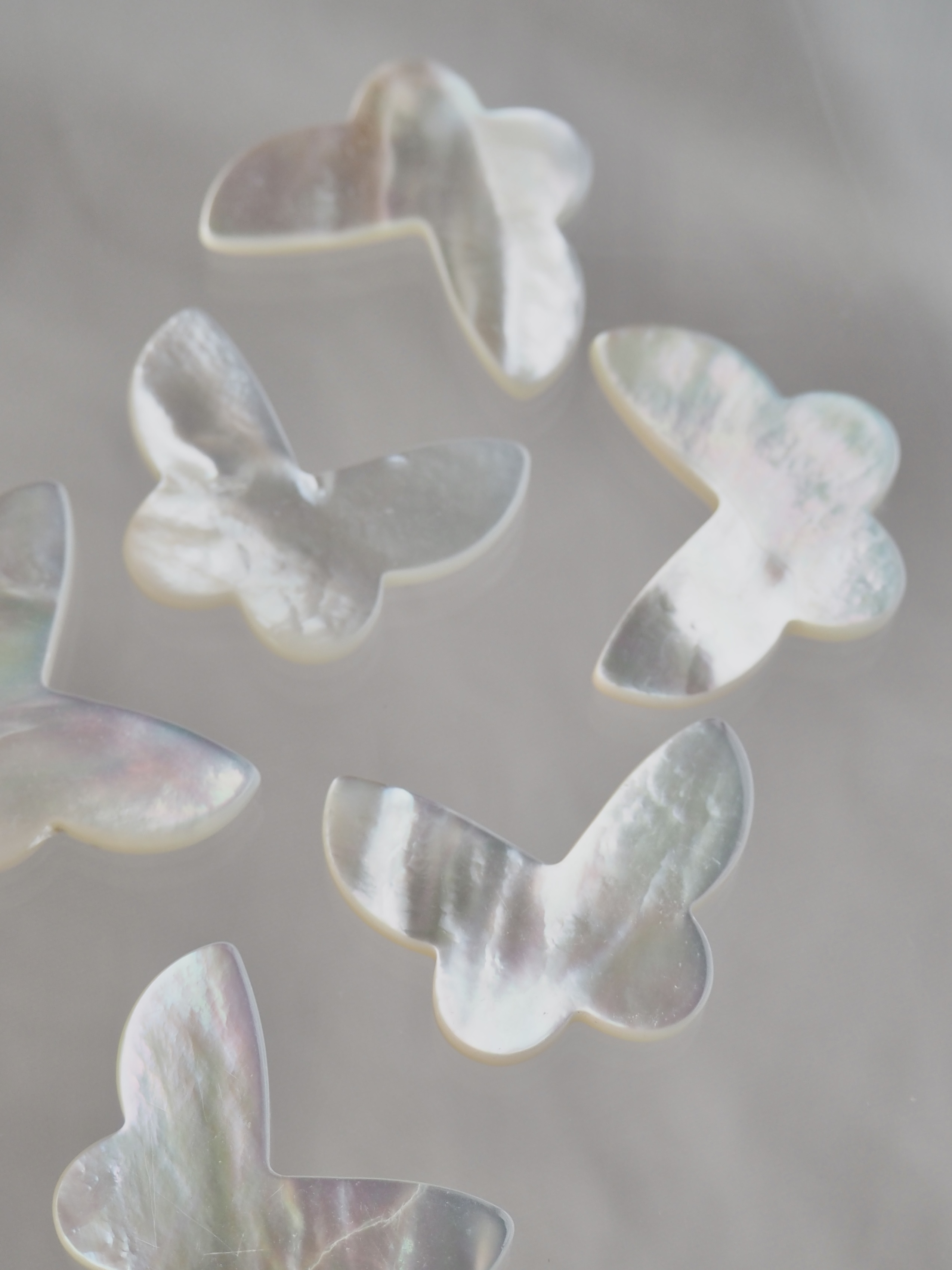 シェルカボション-バタフライ大(シロチョウガイ)【約18×25mm/1個】[メール便可]まとめ買い10%OFF #1013 En:Shell parts -White MOP