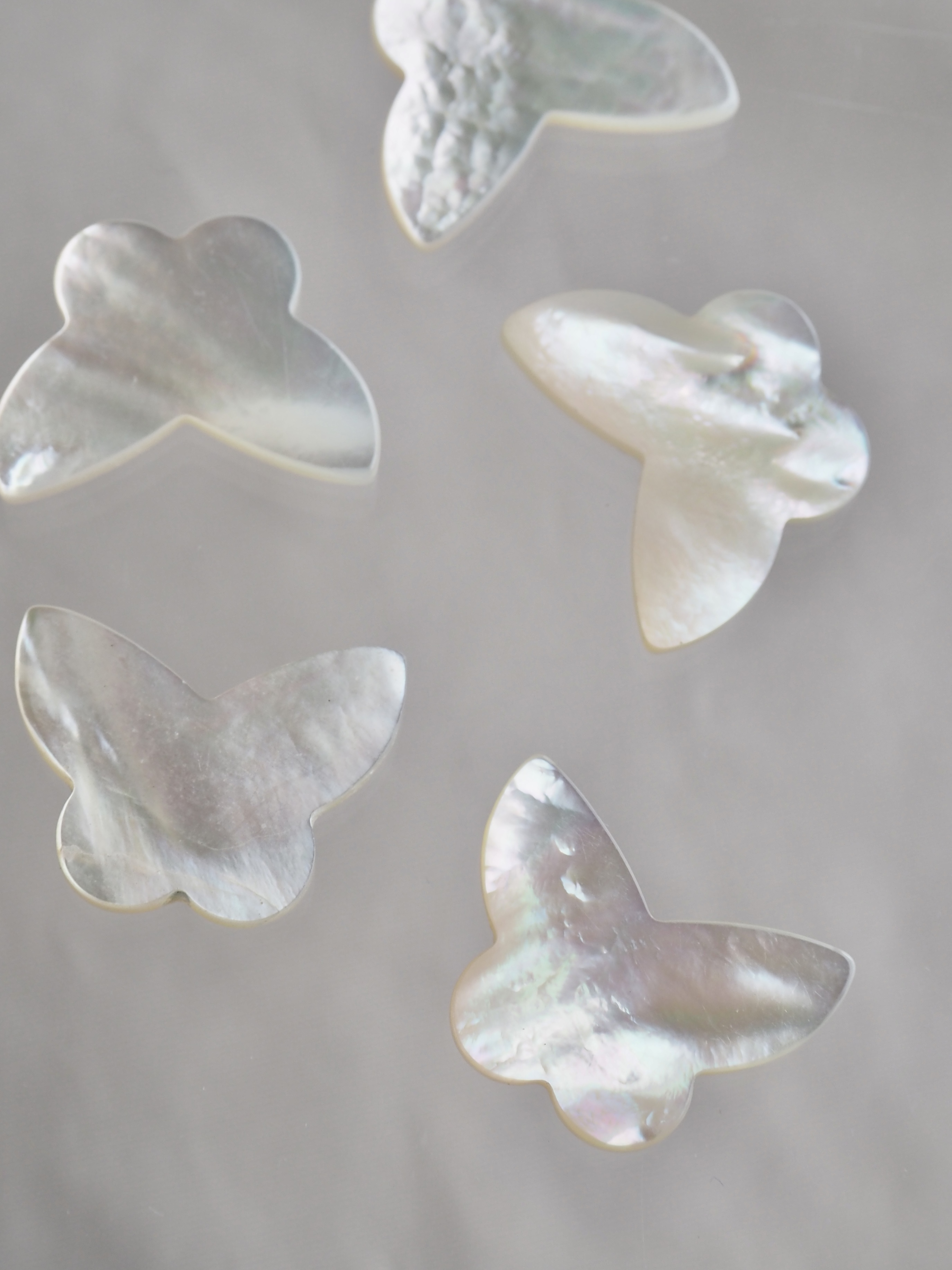 シェルカボション-バタフライ中(シロチョウガイ)【約16×21mm/1個】[メール便可]まとめ買い10%OFF #1015 En:Shell parts -White MOP