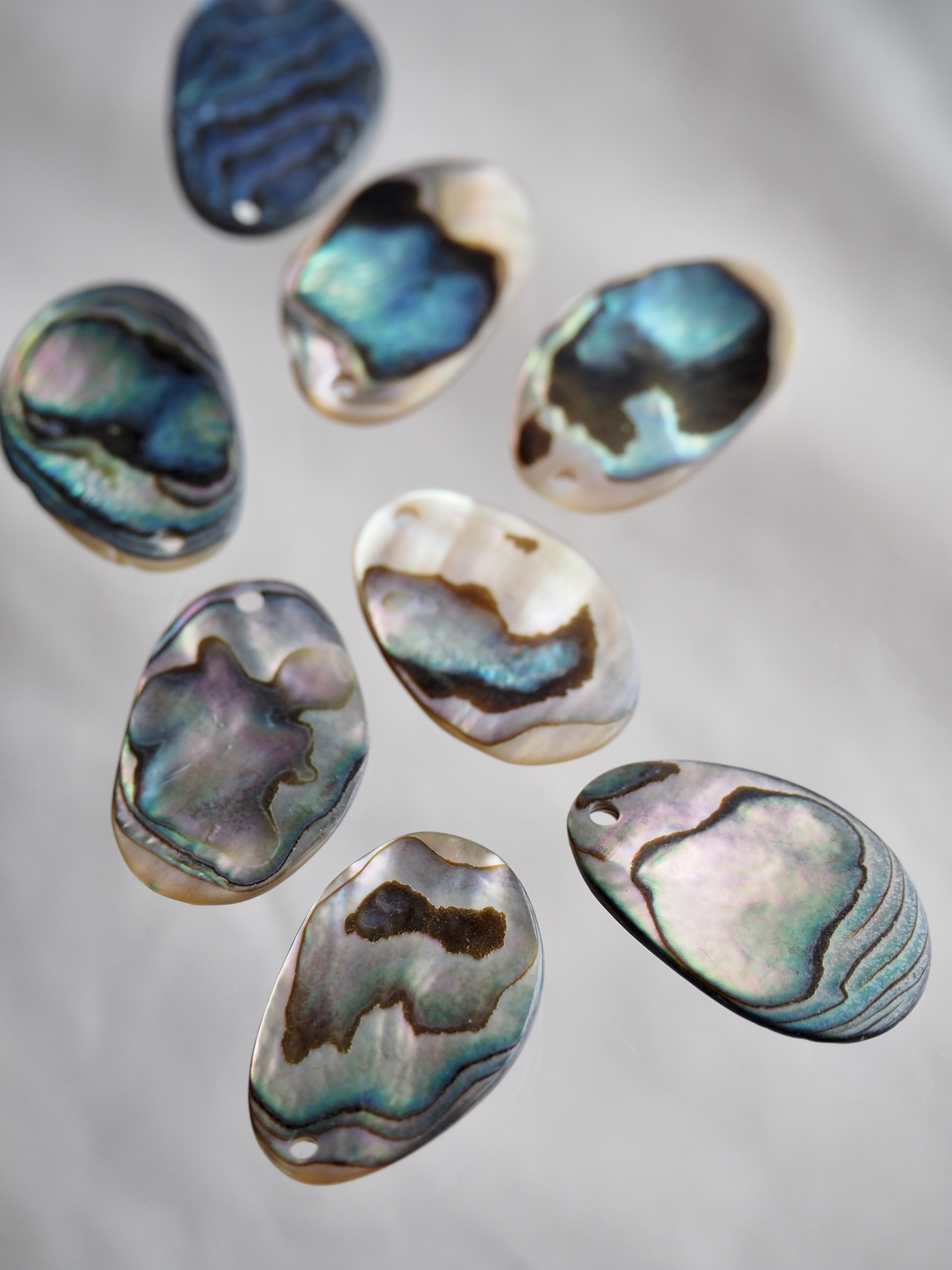 シェルパーツ-ティアドロップ マット(パウアアバロン)【約15×22mm/1個】[メール便可]まとめ買い10%OFF #1225 En:Shell parts -Haliotis iris 貝殻