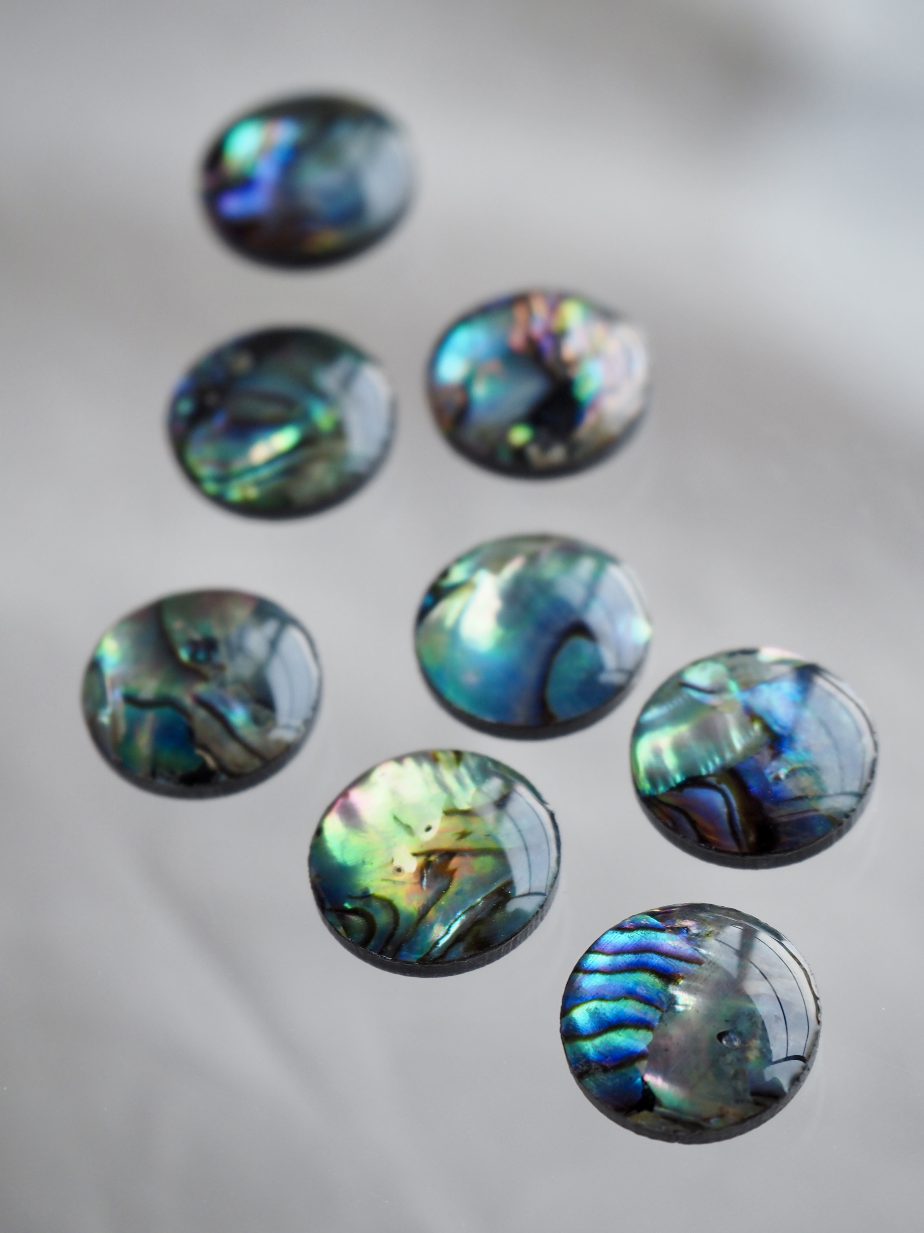 シェルカボション-ラウンド(パウアアバロン-ヘリトリアワビ)【約12mm】1個 [メール便可]まとめ買い10%OFF #1240 En:Shell Beads -Haliotis iris 貝殻