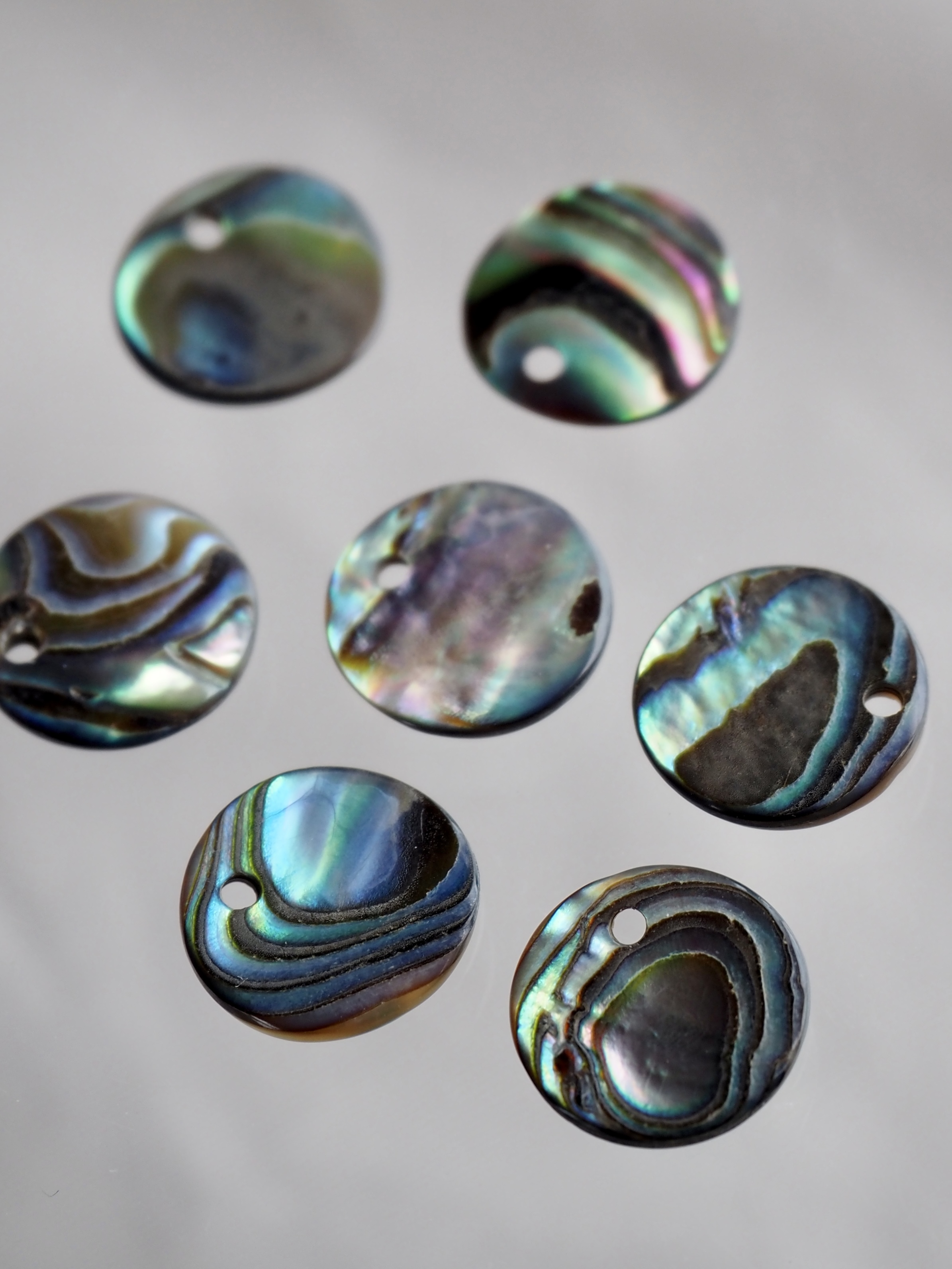 シェルビーズ-プレート ラウンド穴有(パウアアバロン-ヘリトリアワビ)【約10mm】1個 [メール便可]まとめ買い10%OFF #1247 En:Shell Beads -Haliotis iris