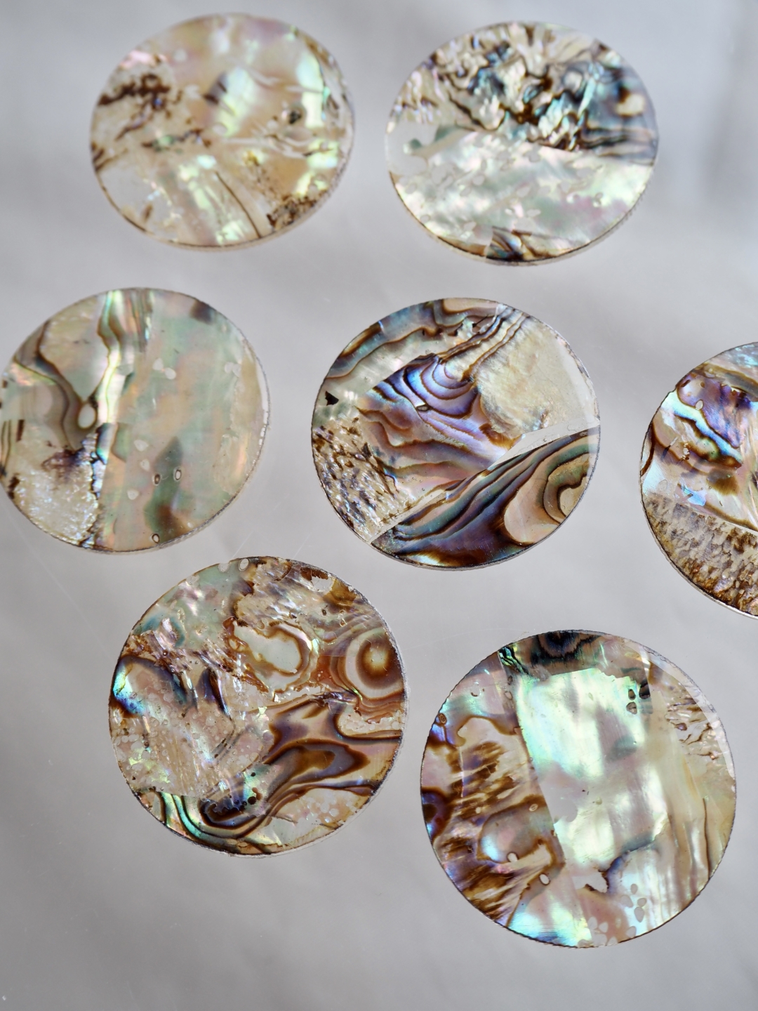 シェルカボション-ラウンド(パウアアバロン-ヘリトリアワビ)【約28mm】1個 [メール便可]まとめ買い10%OFF #1248 En:Shell Beads -Haliotis iris