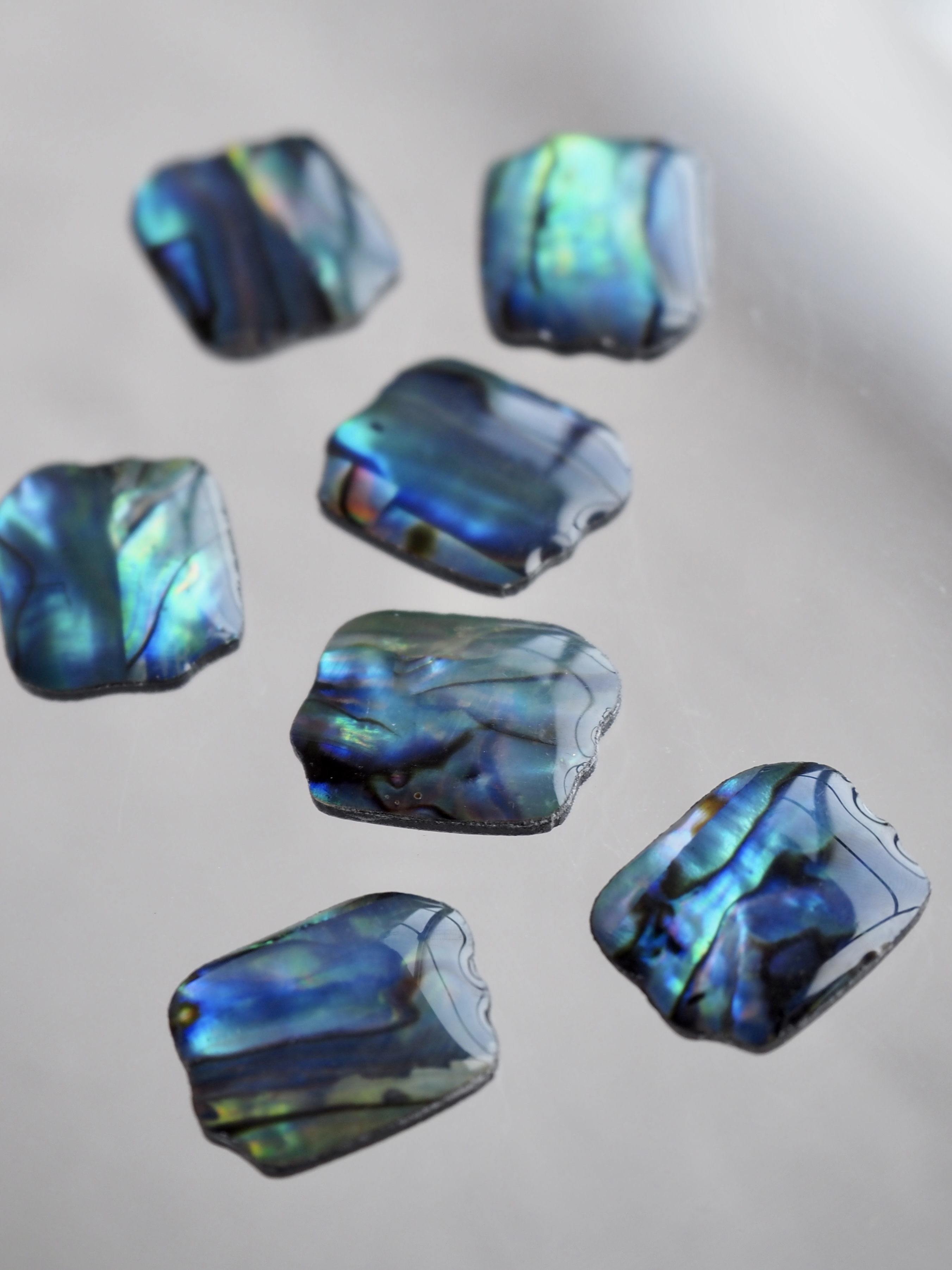 シェルカボション-ストーン(パウアアバロン-ヘリトリアワビ)【約11×14mm】1個 [メール便可]まとめ買い10%OFF #1243 En:Shell Beads -Haliotis iris