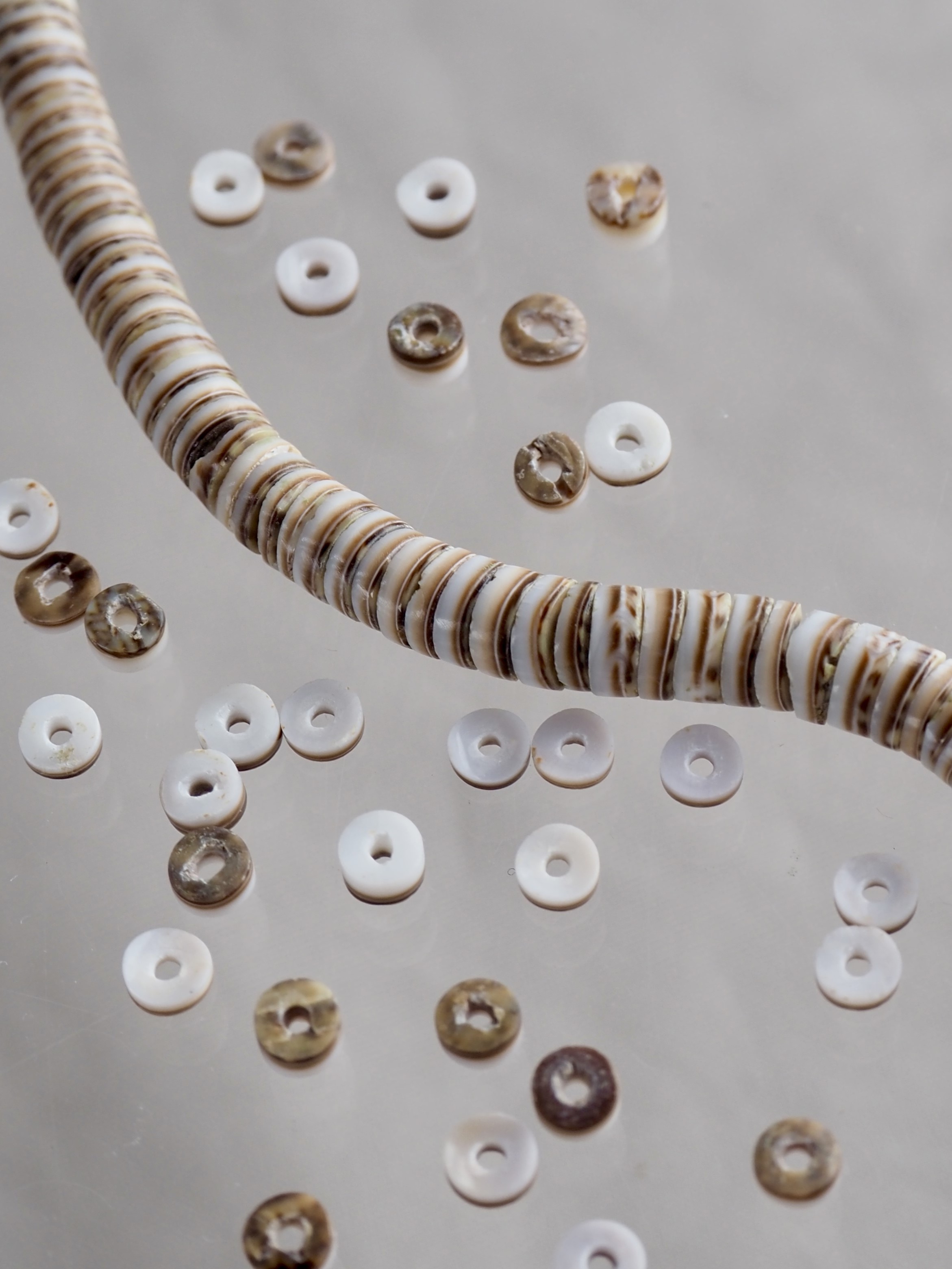 ブラウンオリーブ#42【約0.4～0.5cm/1本約60cm】[メール便可-10袋まで]En: Shell Beads,brown&olive colour 貝殻