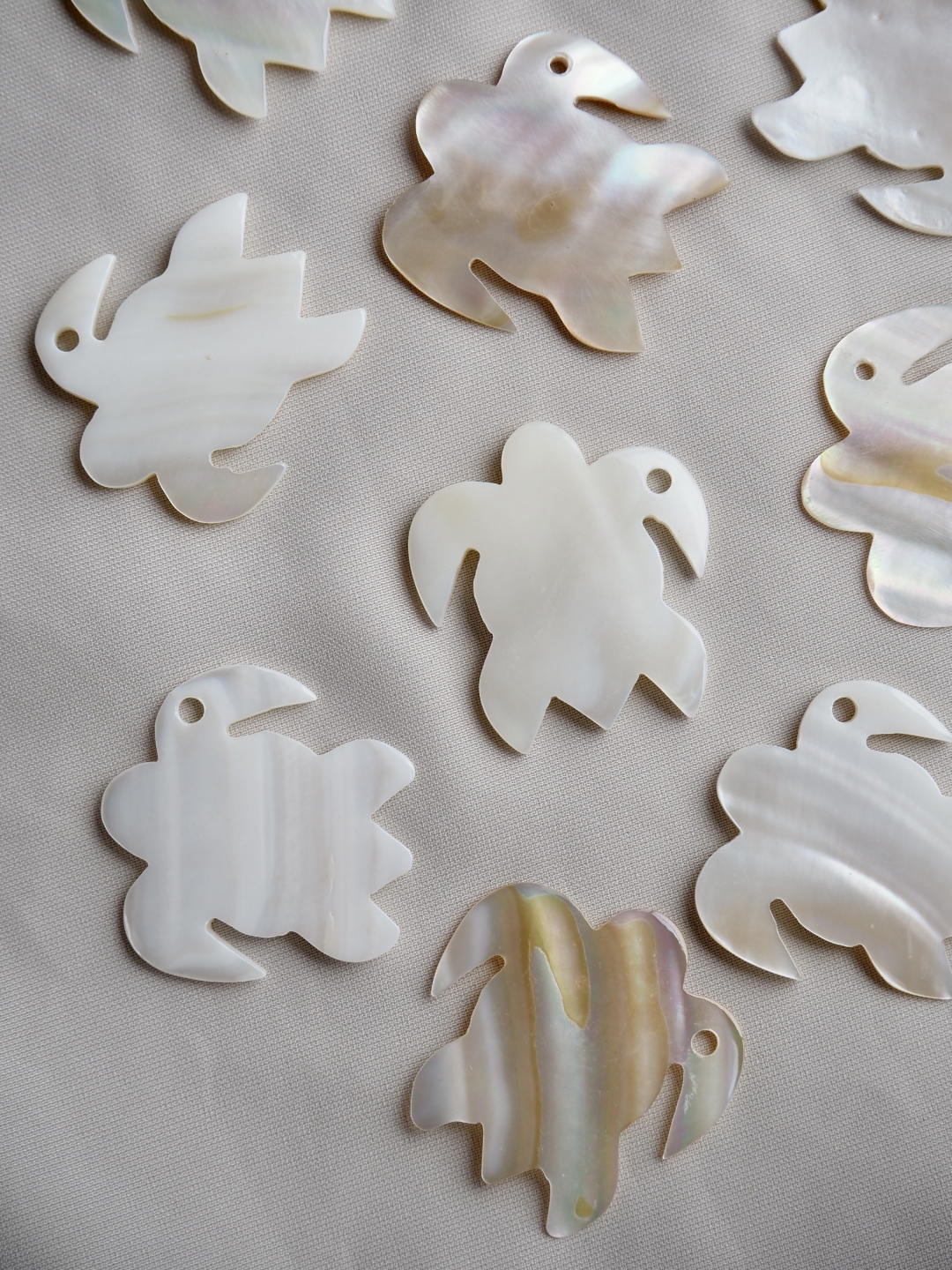 シェルプレートビーズ-タートルカット-24-（淡水真珠貝）【約2.5cm/1枚】[メール便可]まとめ買い10%OFF En: shell accesorry -turtle - fresh water pearl 貝殻