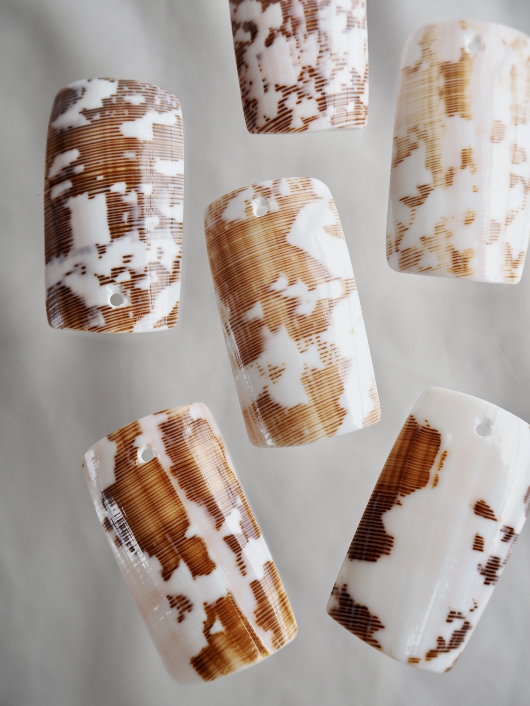 イモガイパーツ-3-(ニシキミナシ)【約4×2cm/1枚】[メール便可]まとめ買い10%OFF En:Shell accesorry cone 貝殻