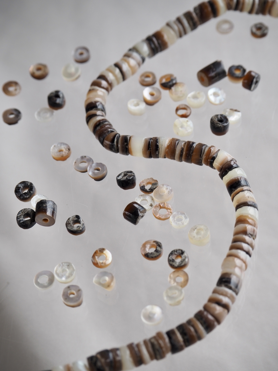 ブラウンリップ#40【約0.5cm/1本約60cm】[メール便可-10袋まで]  En: Shell Beads,brown lip