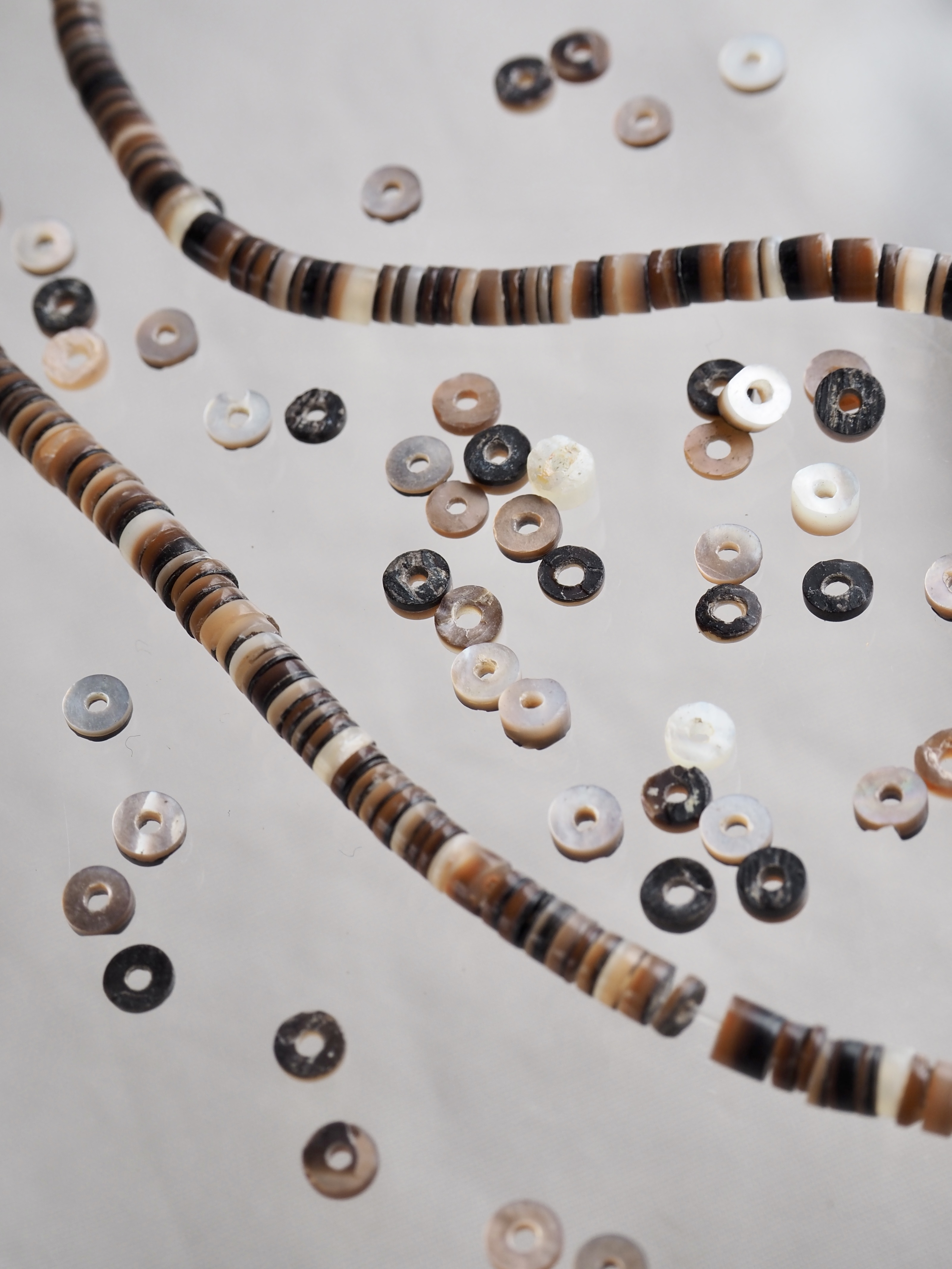 ブラウンリップ#41【約0.3～0.4cm/1本約60cm】[メール便可] En: Shell Beads,brown lip 貝殻