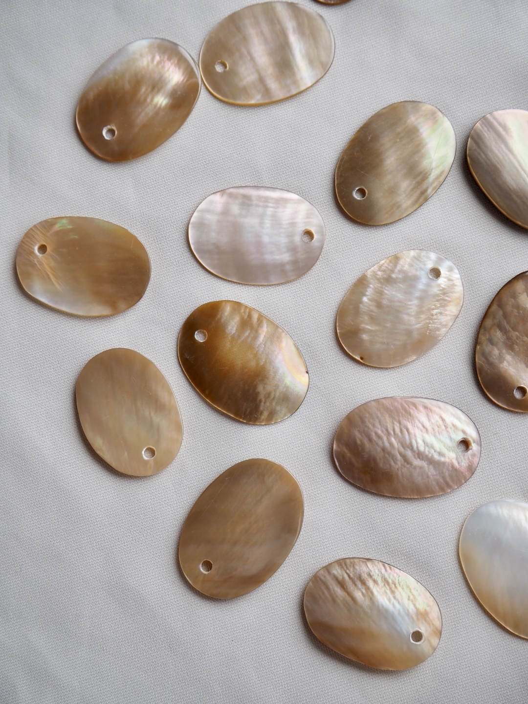 ブラウンリップ オーバル-4-（マベ）【約2.0cm/1枚】[メール便可]まとめ買い10%OFF En: Shell accessory,oval, brown lip 貝殻