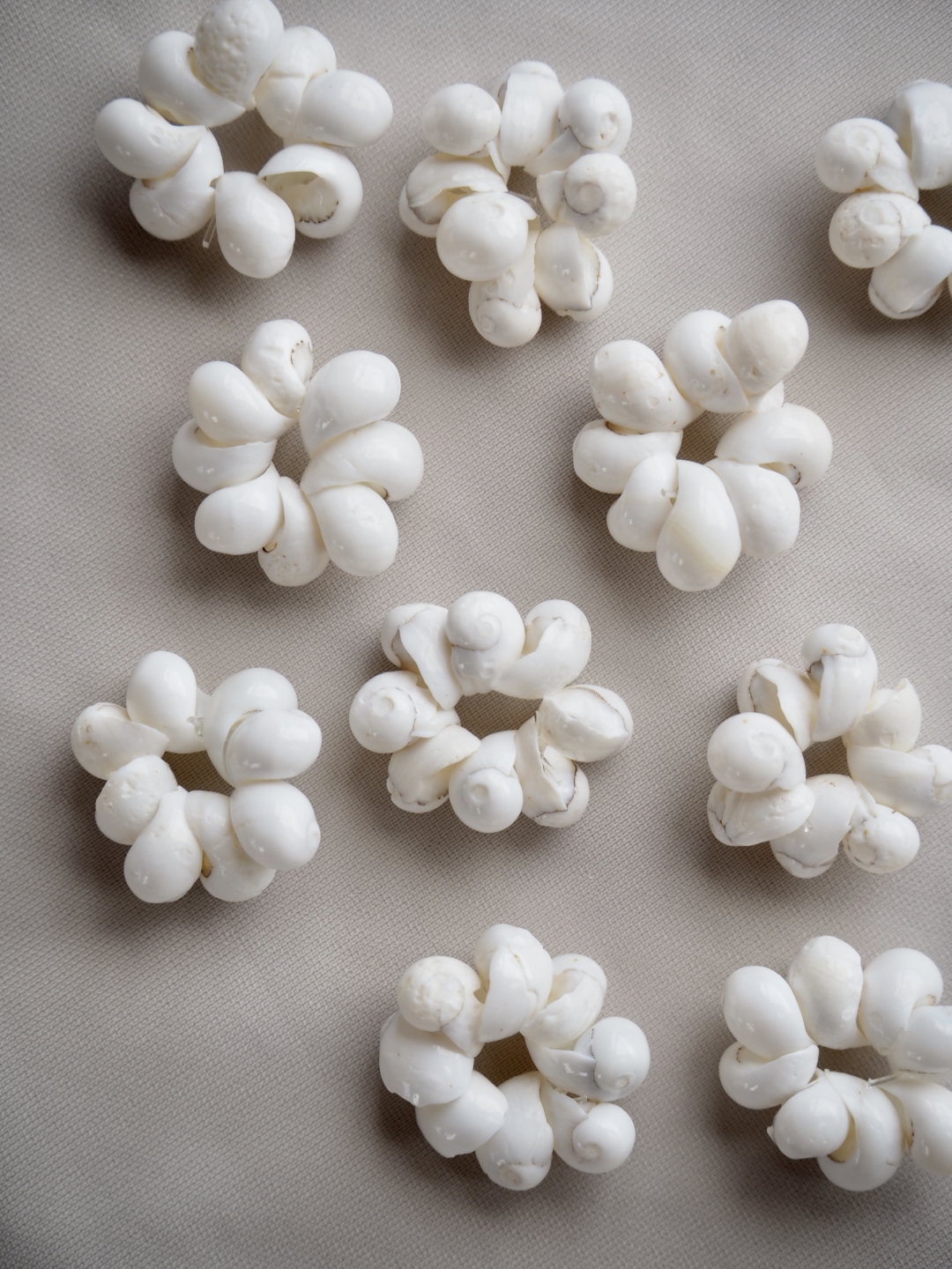 貝殻の問屋さん- 世界の貝殻・自然素材・サンゴ砂を直輸入・卸売通販