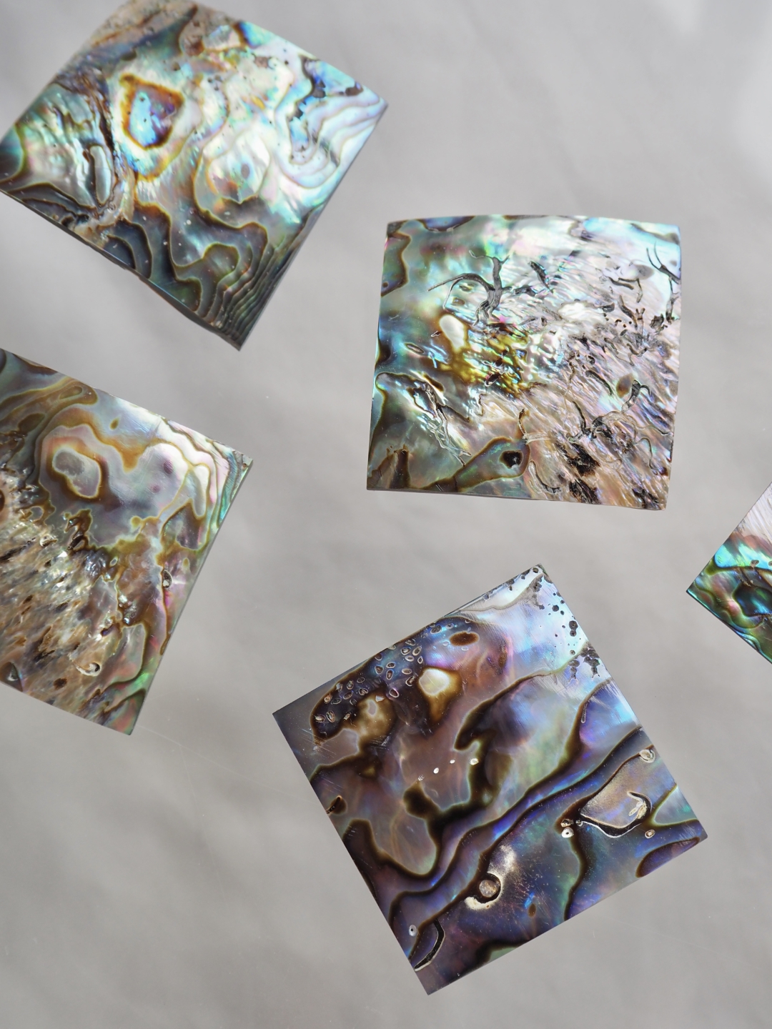 貝殻プレート - アワビ-パウアアバロン (正方形)【約3.5×3.5cm/1枚】[メール便可60枚]En:Shell Square Cut, paua abalone 貝殻