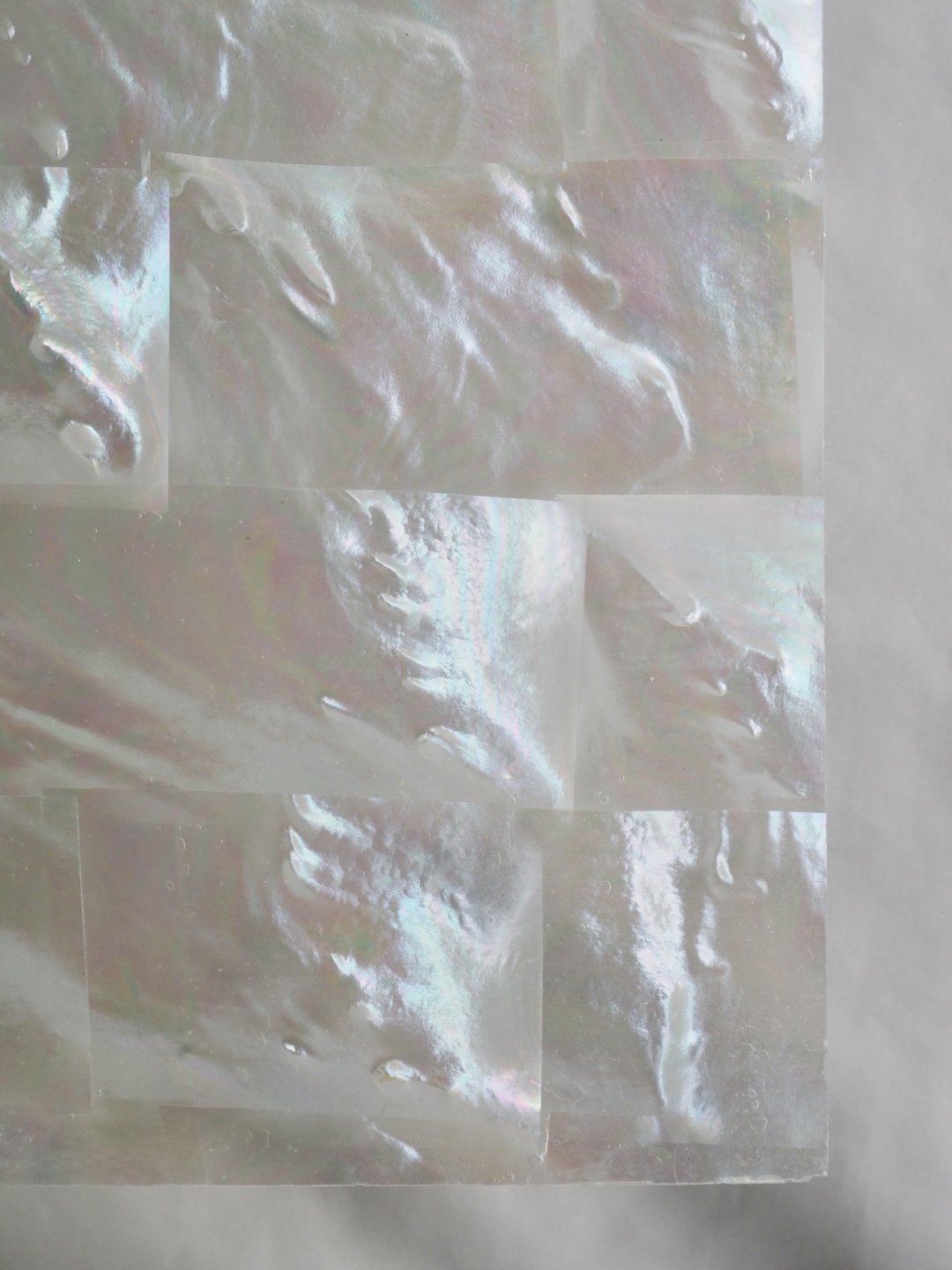 貝殻シート#18 ホワイトパール【14×24cm 厚さ0.18-0.2mm 】En: Shell veneer -white peal