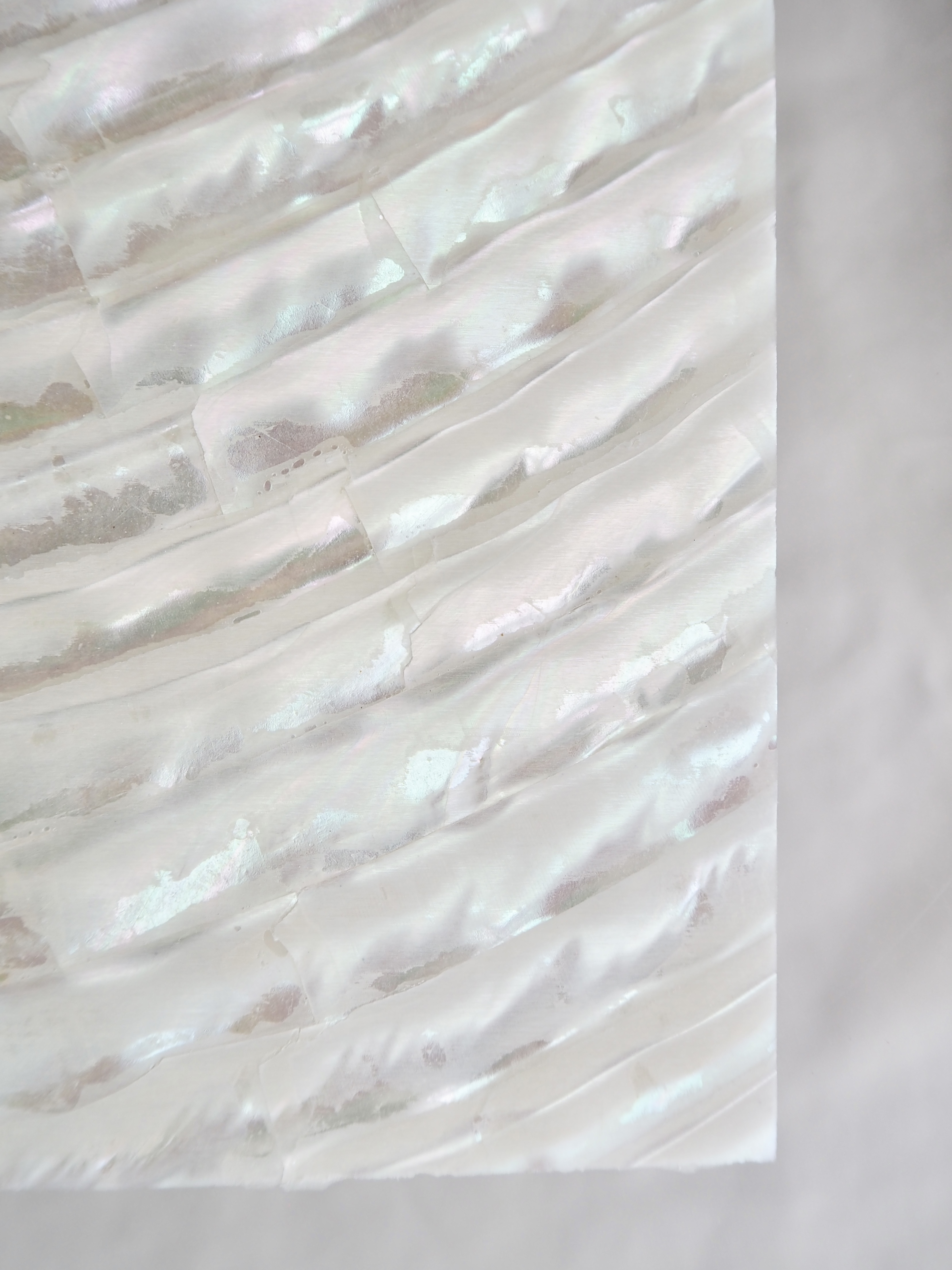 貝殻シート#35 ターバンシェル【14×24cm 厚さ0.18-0.2mm 】En: Shell veneer -turbo shell 貝殻