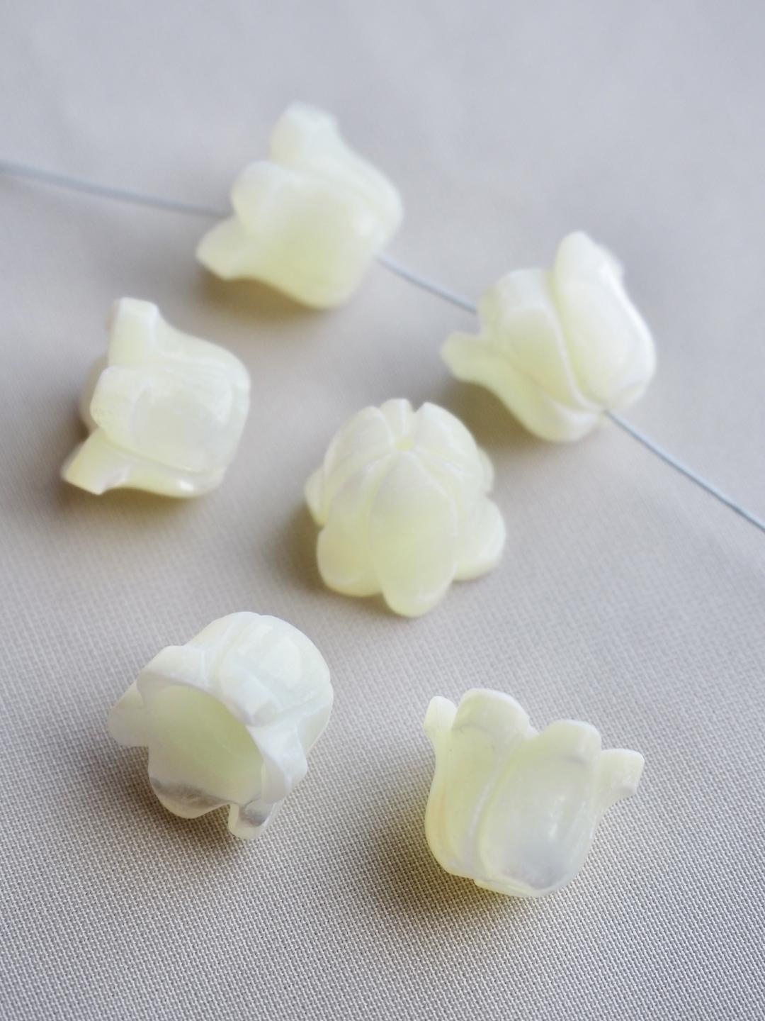 シェルビーズ - スズラン(タカセガイ)【約10×8mm/1個】[メール便可]まとめ買い10%OFF #230 En:Trocus - Shell Beads 貝殻