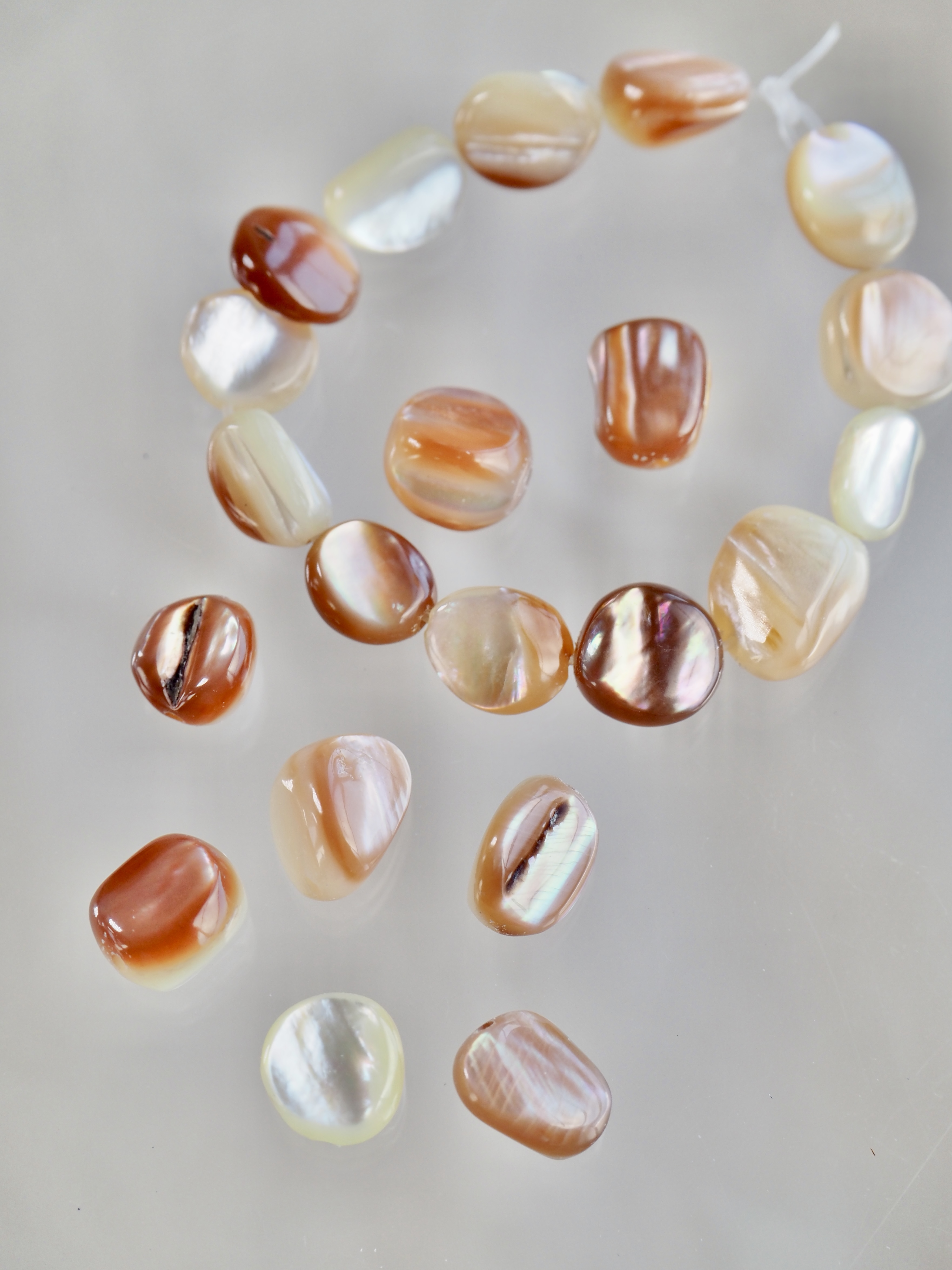 シェルビーズ-さざれ(淡水真珠貝)【10mm前後/約10cm・約10個】#1350[メール便可]まとめ買い10%OFF  En:Freshwater pearl MOP - Shell Beads 貝殻