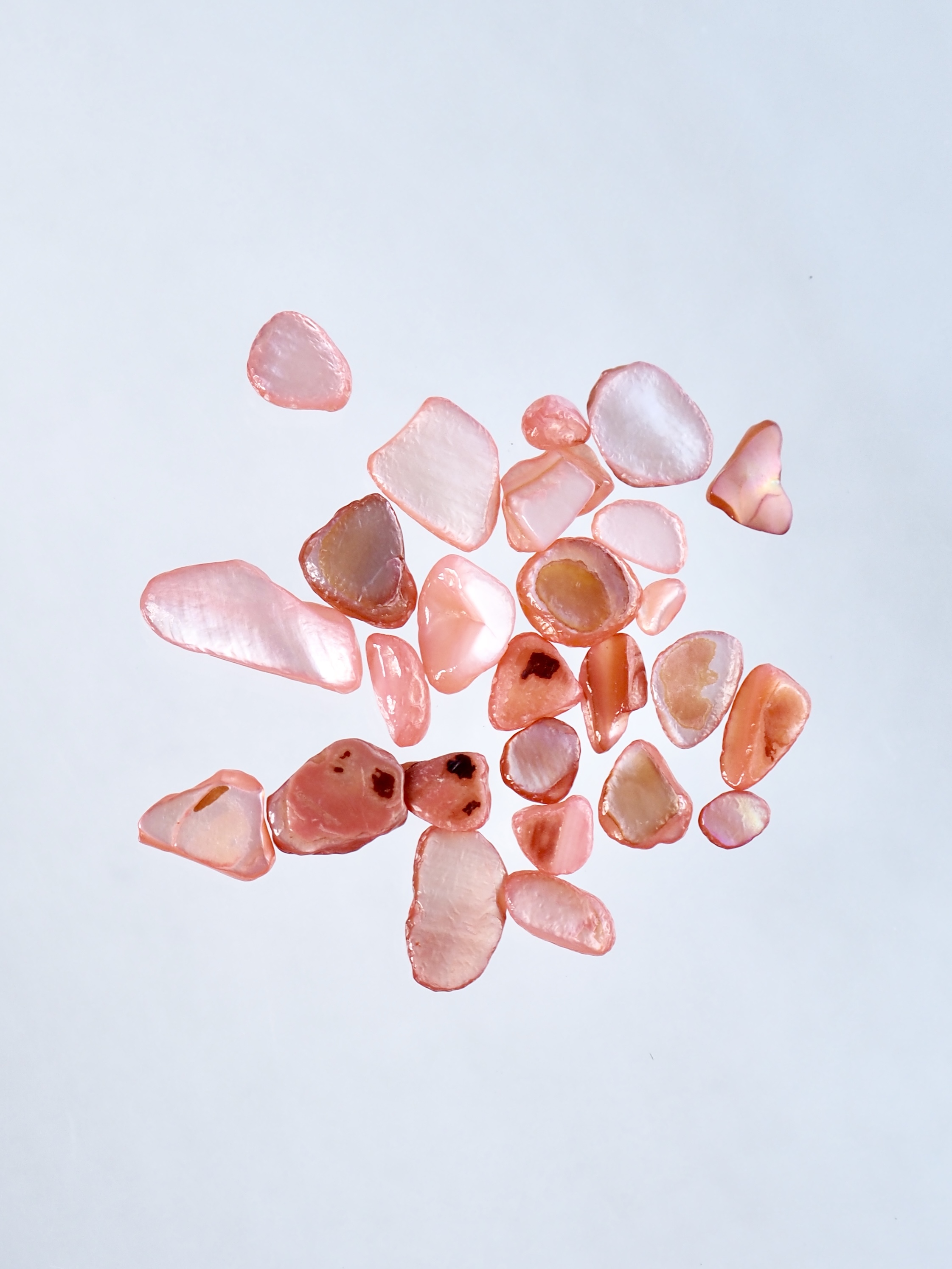 シェルフレーク レッド(淡水真珠貝)【約3～10mm(約2g)】#2047[メール便可]まとめ買い20%OFF 貝殻