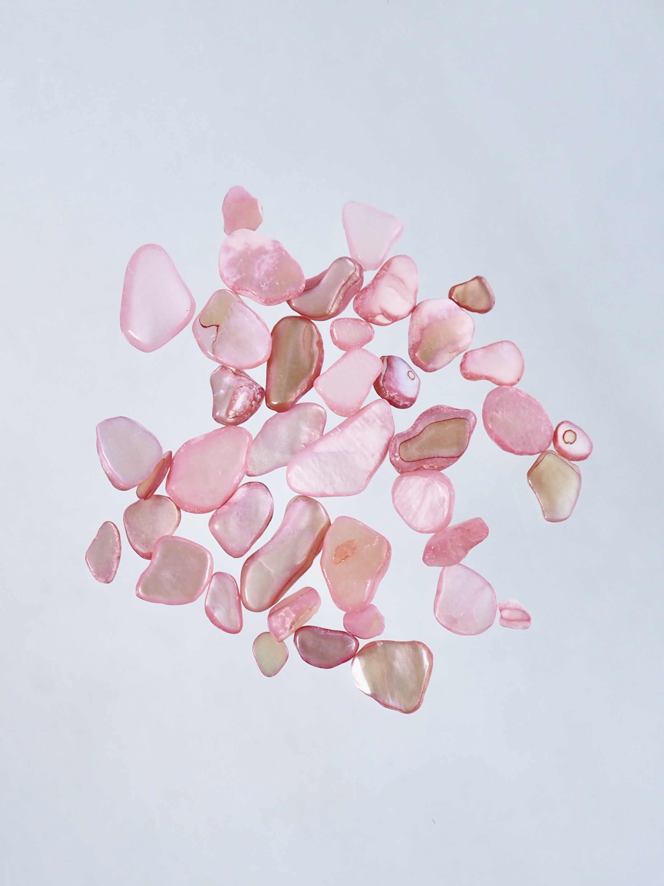 シェルフレーク ピンク(淡水真珠貝)【約3～10mm(約2g)】#2048[メール便可]まとめ買い20%OFF 貝殻