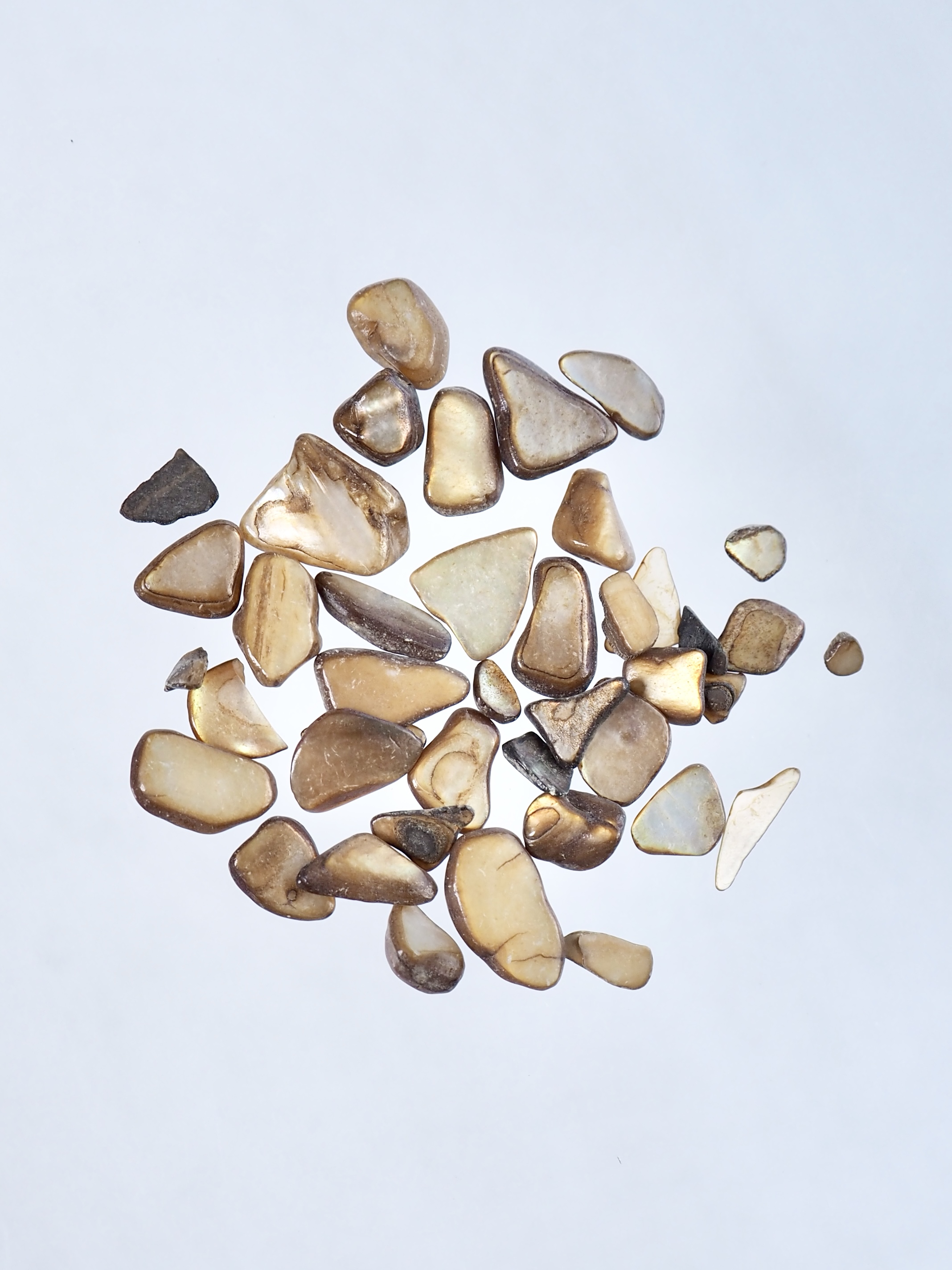 シェルフレーク ブラウン(淡水真珠貝)【約3～10mm(約2g)】#2052[メール便可]まとめ買い20%OFF 貝殻