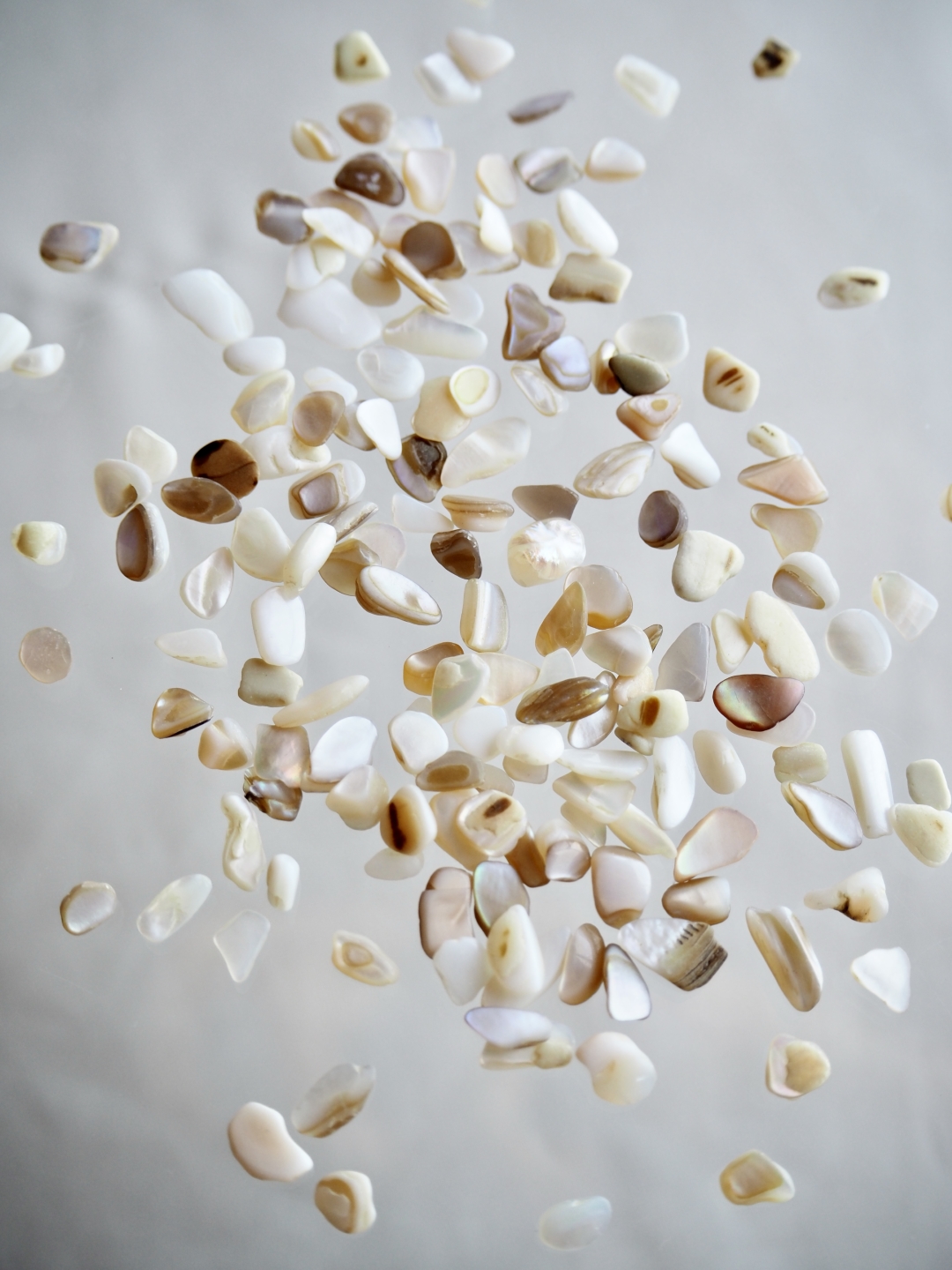 シェルフレーク(淡水真珠貝)【約3～7mm(約10g)】#1286[メール便可]まとめ買い20%OFF 貝殻