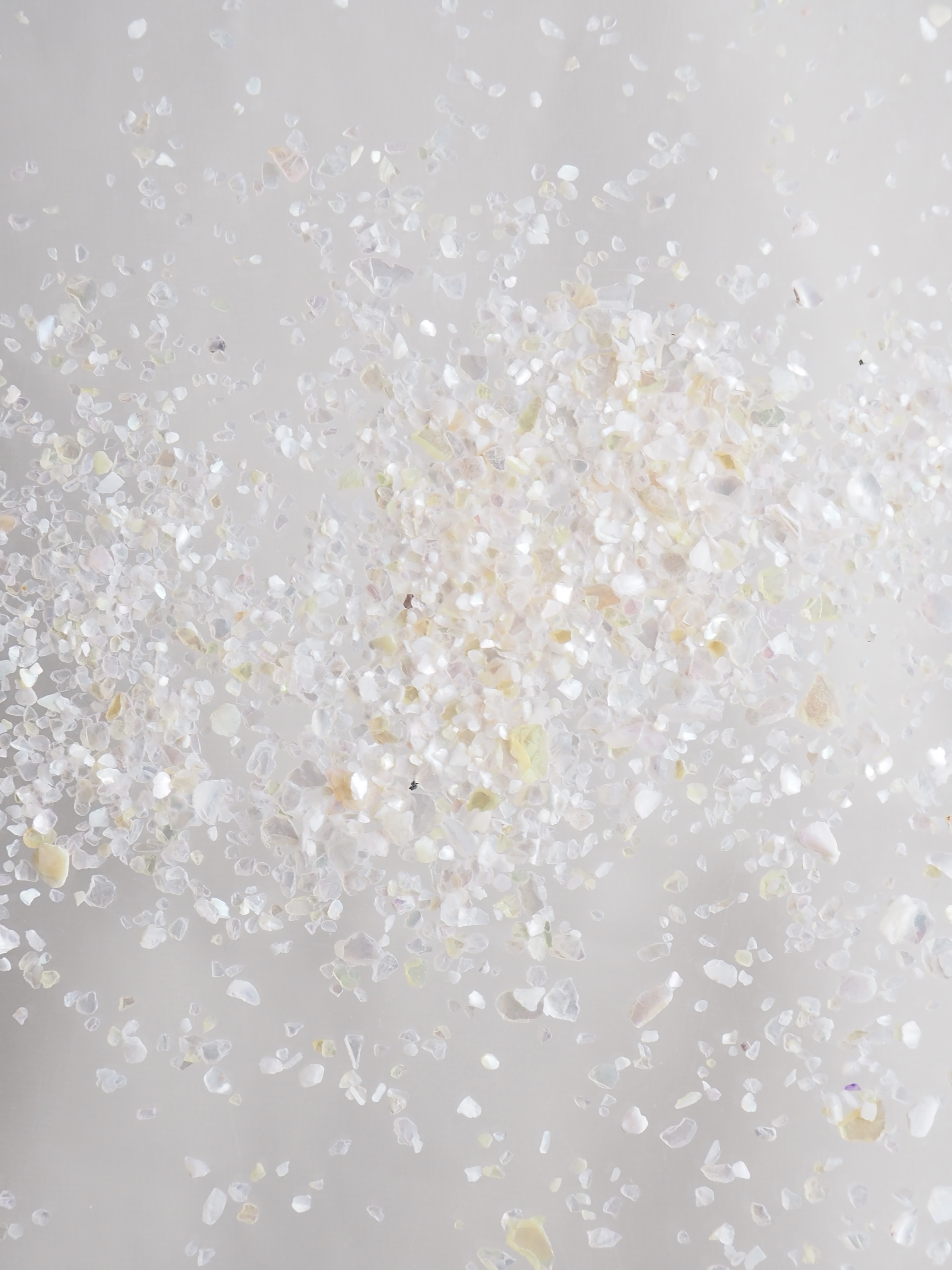 シェルフレーク(ピンク)アコヤガイ【約1～2mm(約2g)】#2013[メール便可]まとめ買い20%OFF