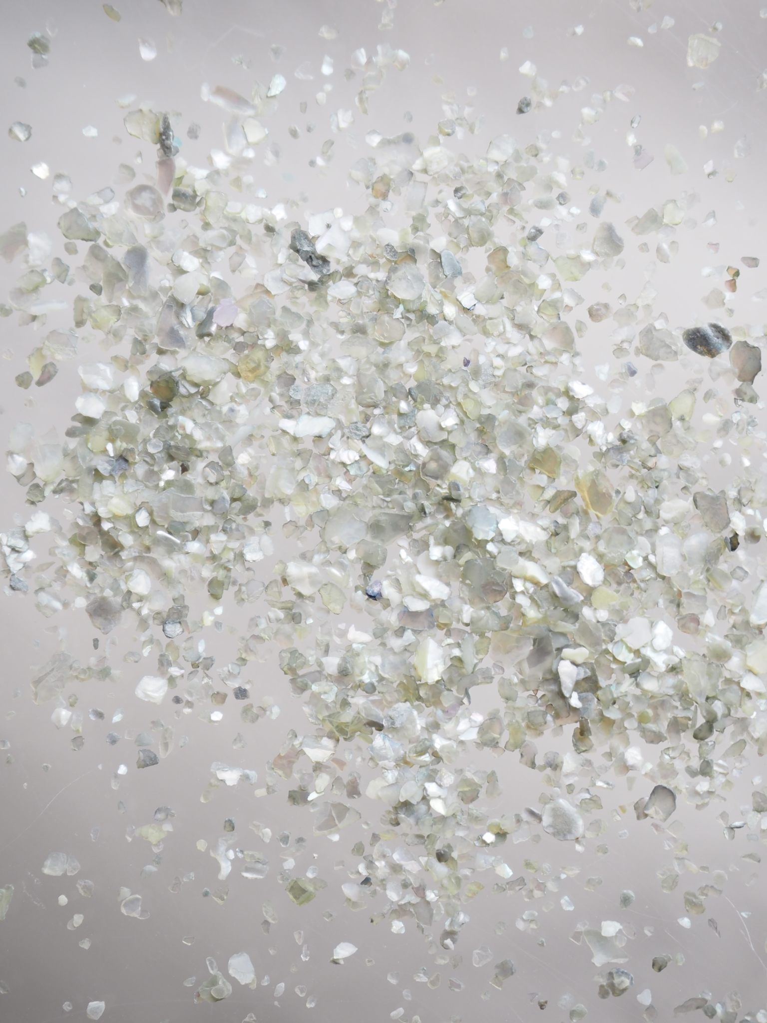 シェルフレーク(グリーン)アコヤガイ【約1～2mm(約2g)】#2034[メール便可]まとめ買い20%OFF