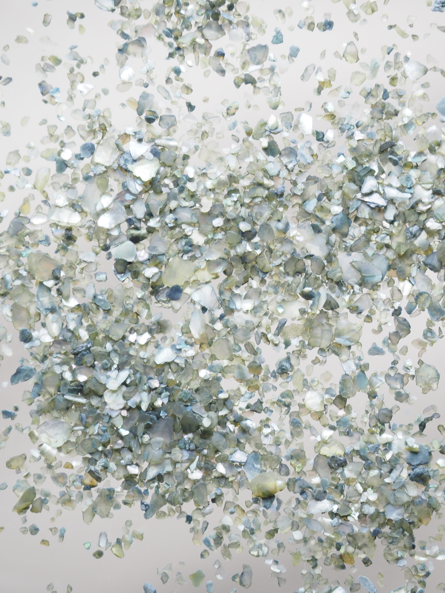 シェルフレーク(グリーン)アコヤガイ【約1～2mm(約2g)】#2037[メール便可]まとめ買い20%OFF