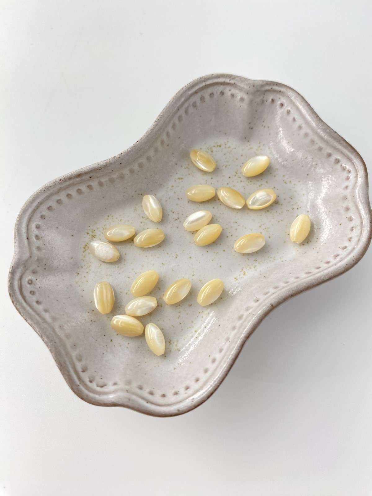 タカセガイ - オーバルビーズ【約8×4mm/約13個・約10cm】[メール便可]まとめ買い10%OFF #288 En:Trocus - Shell Beads 貝殻