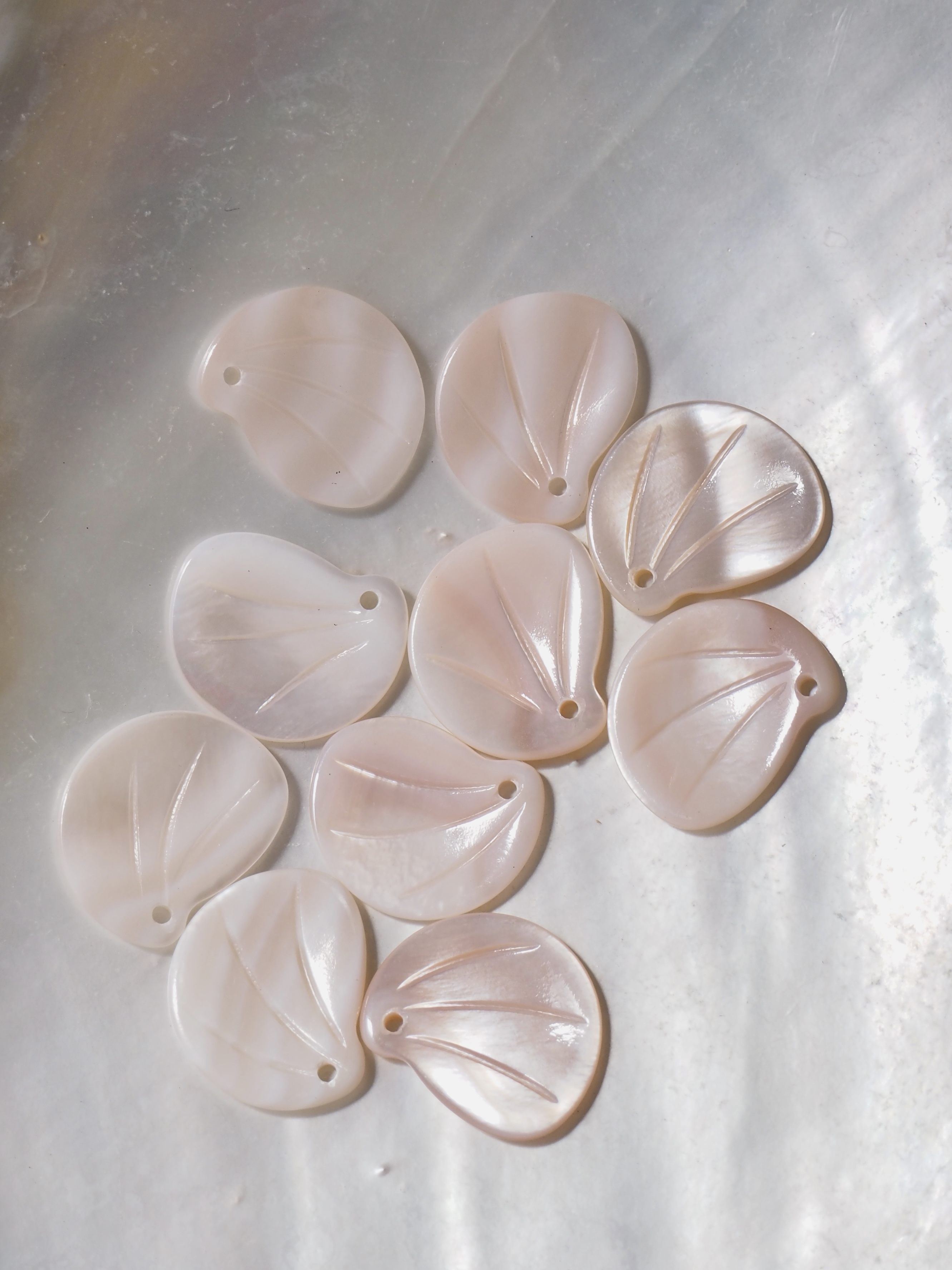 シェルビーズ-花びらリーフ小(淡水真珠貝ピンク)【約10×13mm/1個】[メール便可]まとめ買い10%OFF #1027 貝殻