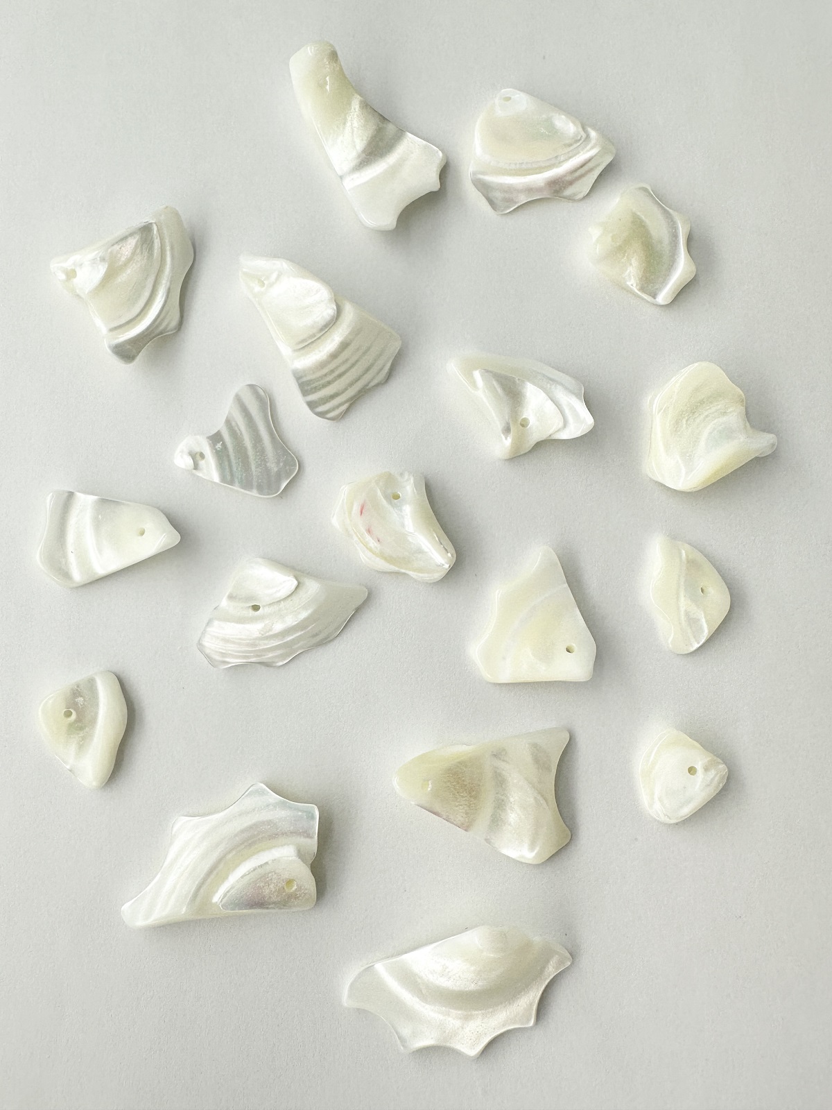 シェルビーズ- フェザー(タカセガイ)【20-30mm前後/約10cm・(10-15個程度)】＃231 まとめ買い10%OFF  [メール便可] En:Trocus - Shell Beads (Size:20-30mm・10-15pcs,10cm) 貝殻