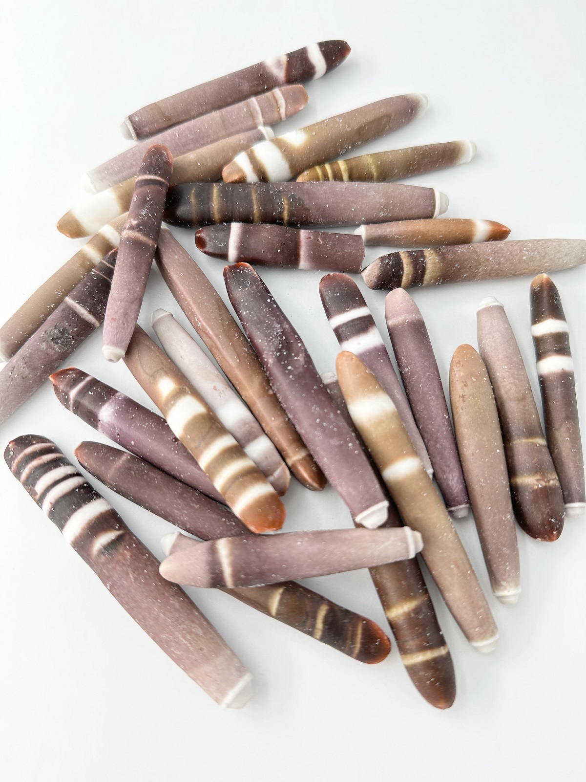 パイプウニ大【約5～8ｃｍ/100ｇ】[メール便可-2袋まで]  En:Spines of Red pencil urchin (Size:5-8cm, per 100g) 貝殻