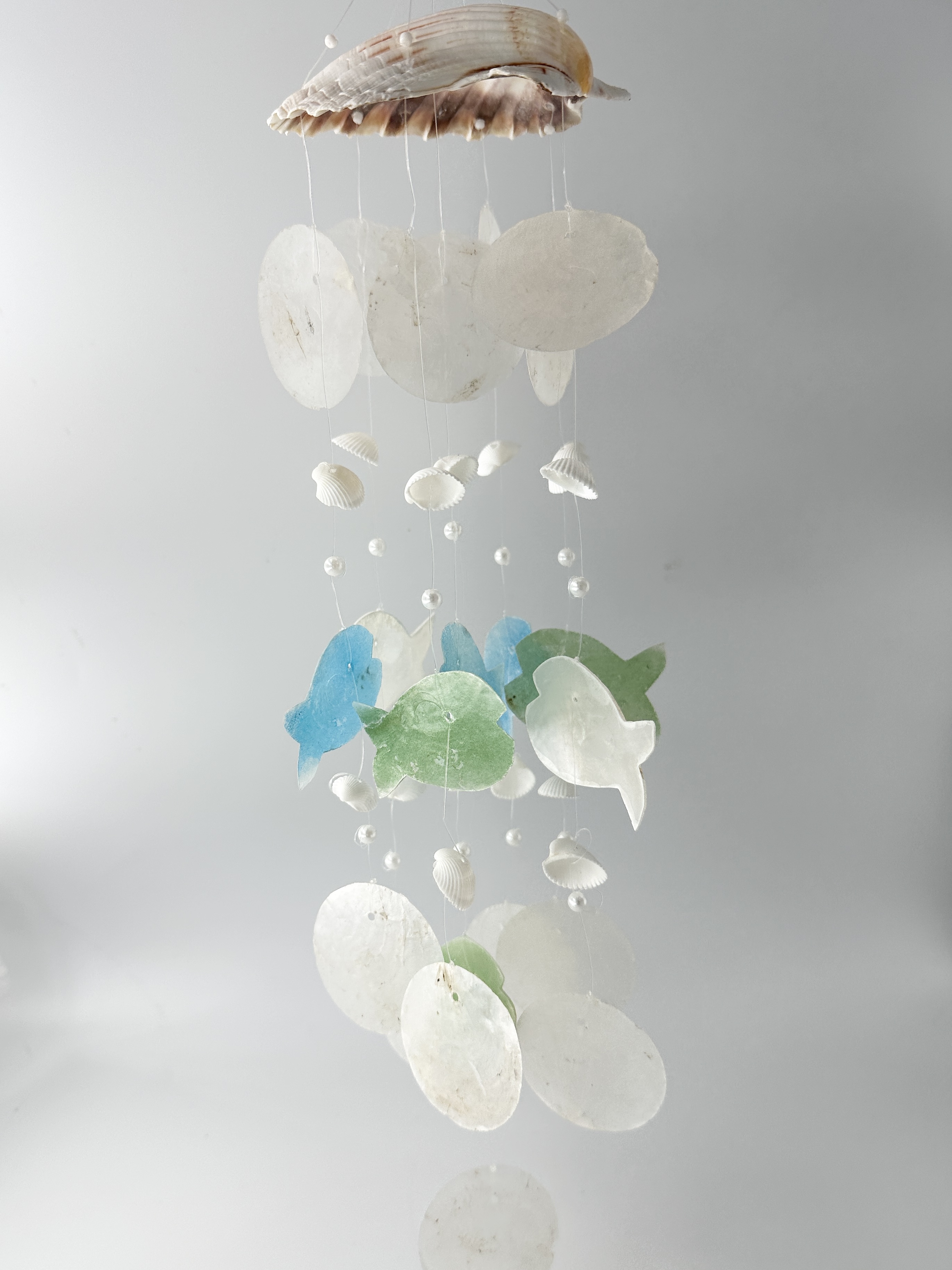 カピスチャイム　-フィッシュ-　【1個】 En:  Capiz - wind chime -fish-
