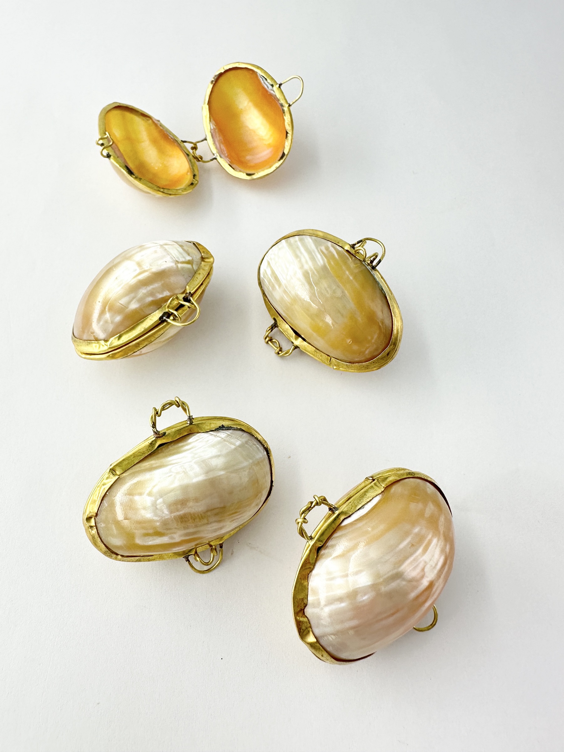 貝殻の小物入れ-キングチサザエ真珠磨き-【4cm前後/1個】 En:  Shell coin purse -Turbo　Chrysostomus- (size:approx.4cm, per 1pcs)