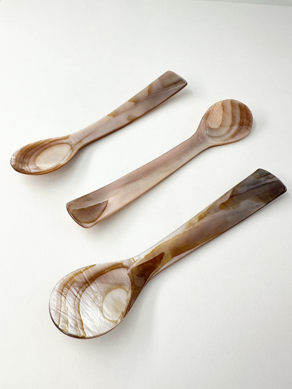 シェルスプーン #3004【約13ｃｍ】 En:Shell Spoon (size:approx.13cm)