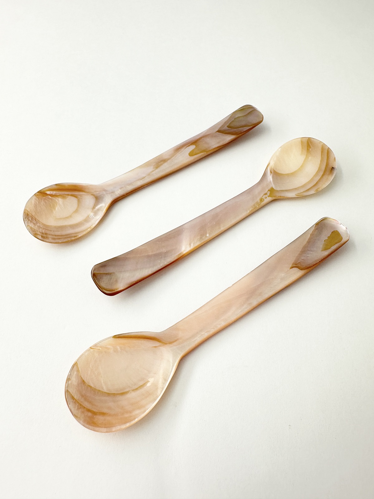 シェルスプーン #3003【約12ｃｍ】 En:Shell Spoon (size:approx.12cm)